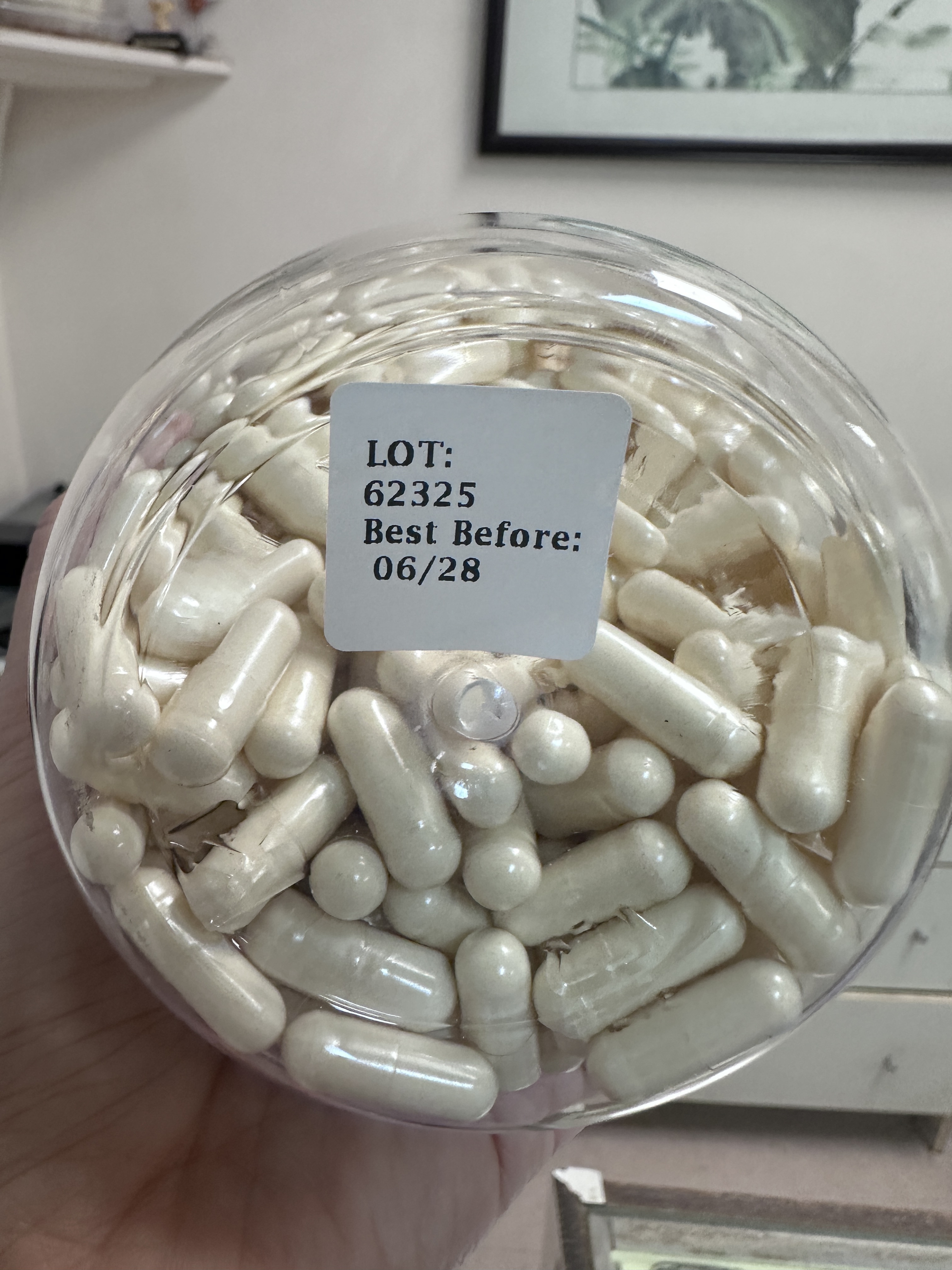 UP06 Planetbee Royal Jelly蜂王漿膠囊 500粒裝(500mg / 粒)**到期日:約2028年6月
