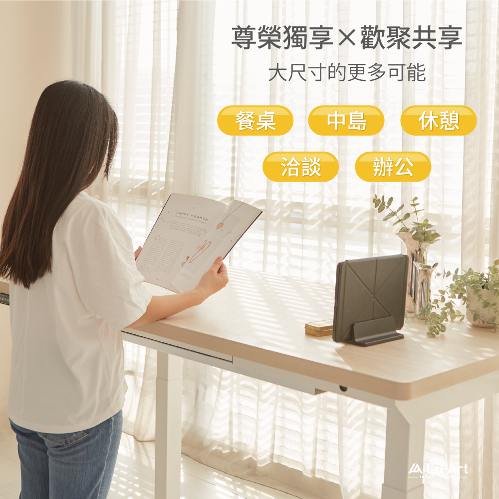 LiFArt 升降桌多款歐洲進口 V313 系統板桌面選色示意