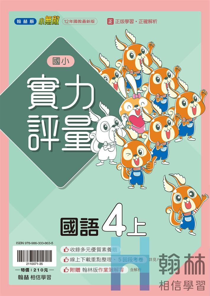 翰林國小實力評量 國語4