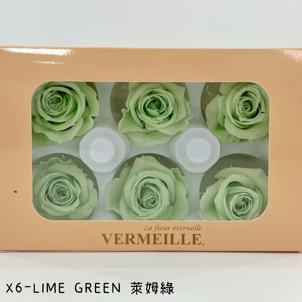 哥倫比亞 VERMEILLE-INES(X6朵) 萊姆綠