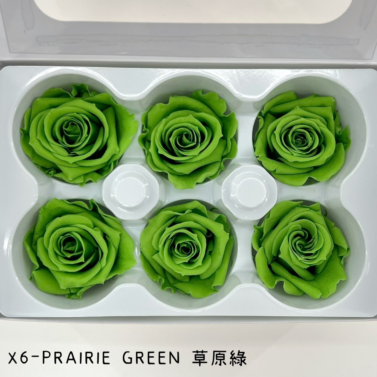 哥倫比亞 VERMEILLE-INES(X6朵) 草原綠