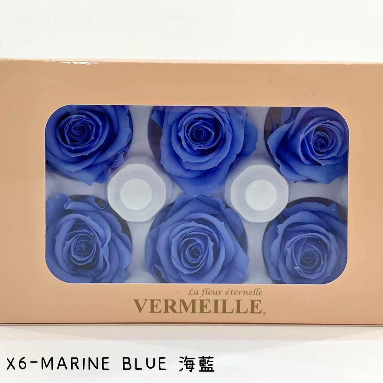 哥倫比亞 VERMEILLE-INES(X6朵) 海藍