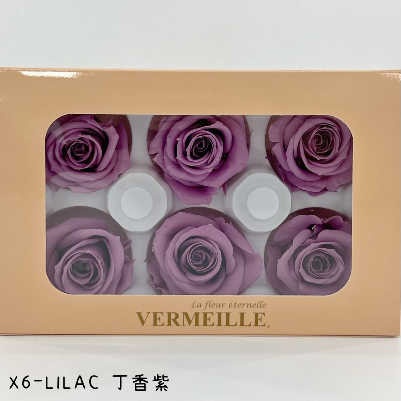 哥倫比亞 VERMEILLE-INES(X6朵) 丁香紫