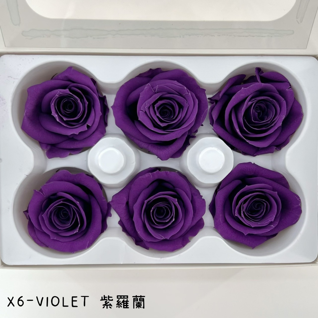 哥倫比亞 VERMEILLE-INES(X6朵) 紫羅蘭