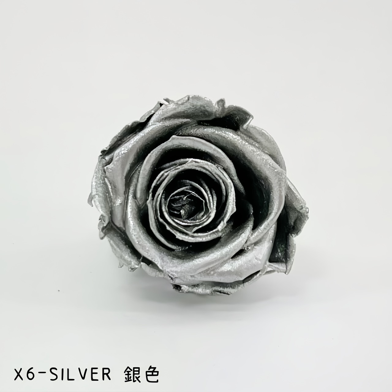 哥倫比亞 VERMEILLE-INES(X6朵) 銀色