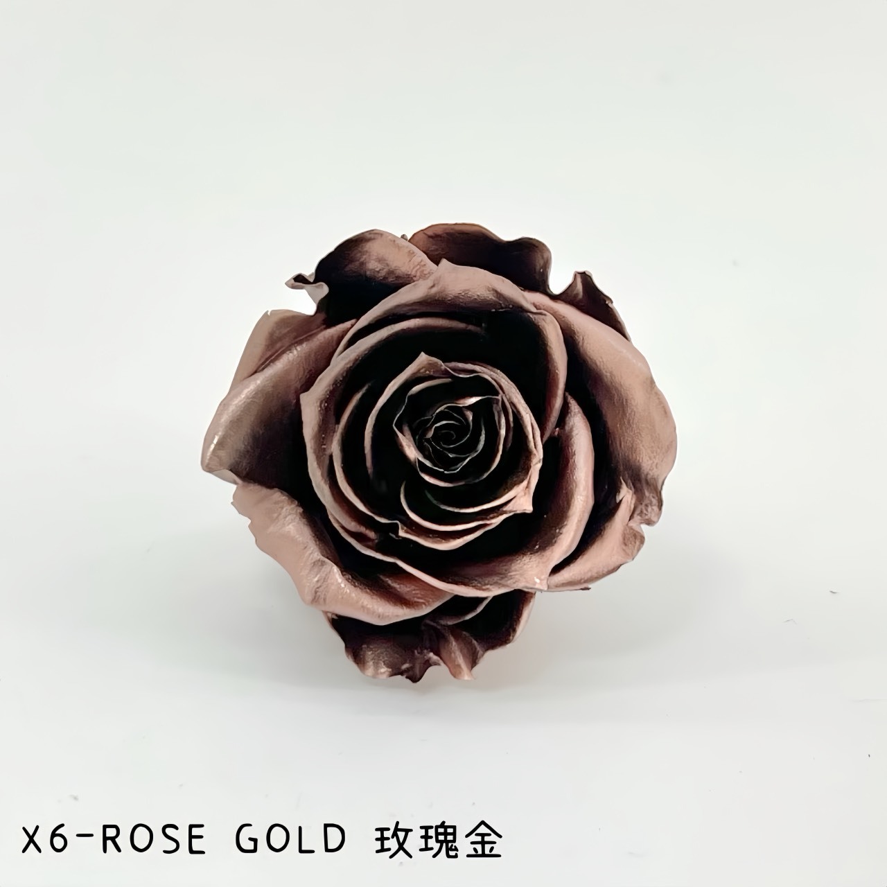 哥倫比亞 VERMEILLE-INES(X6朵) 玫瑰金