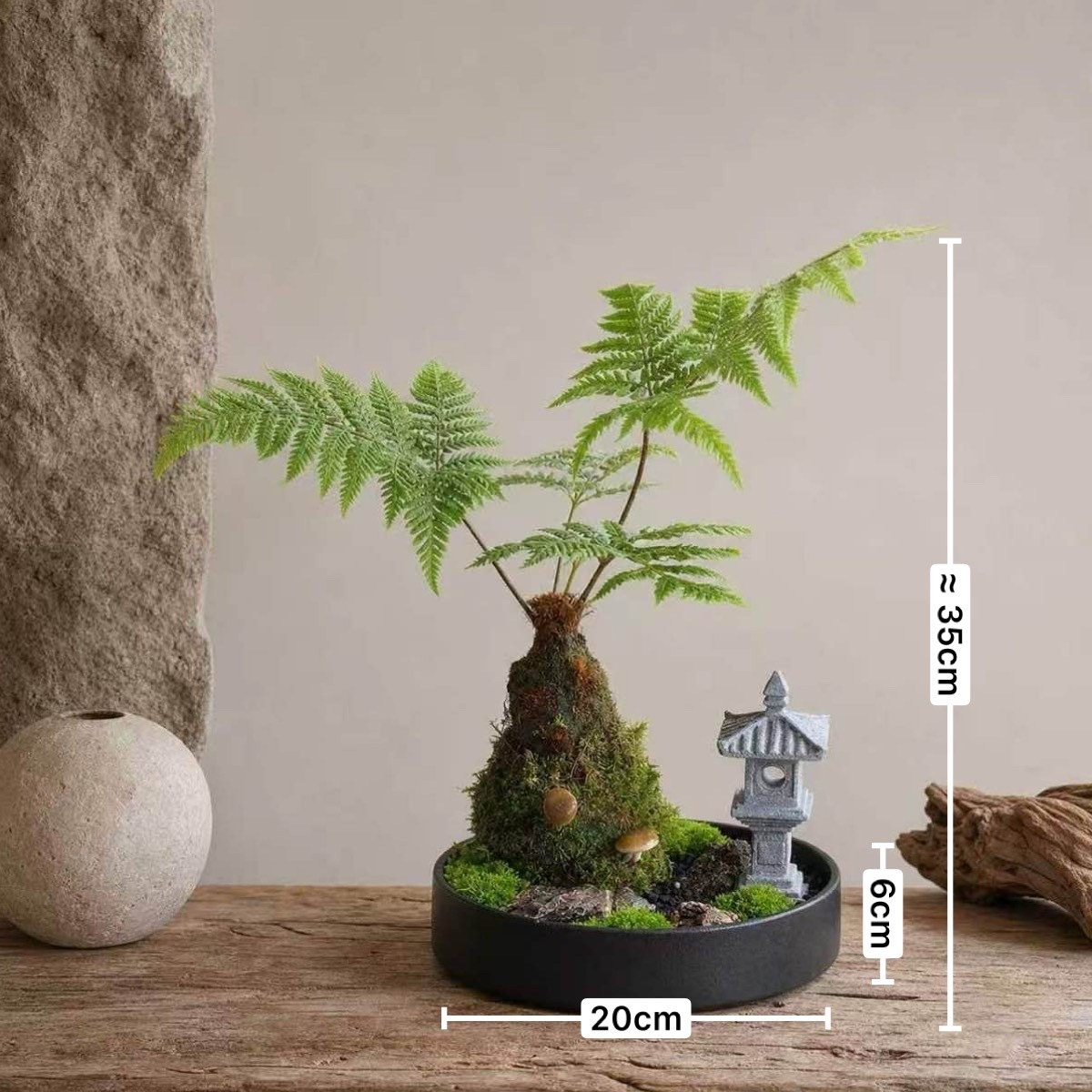 紅靈蕨-苔色食光