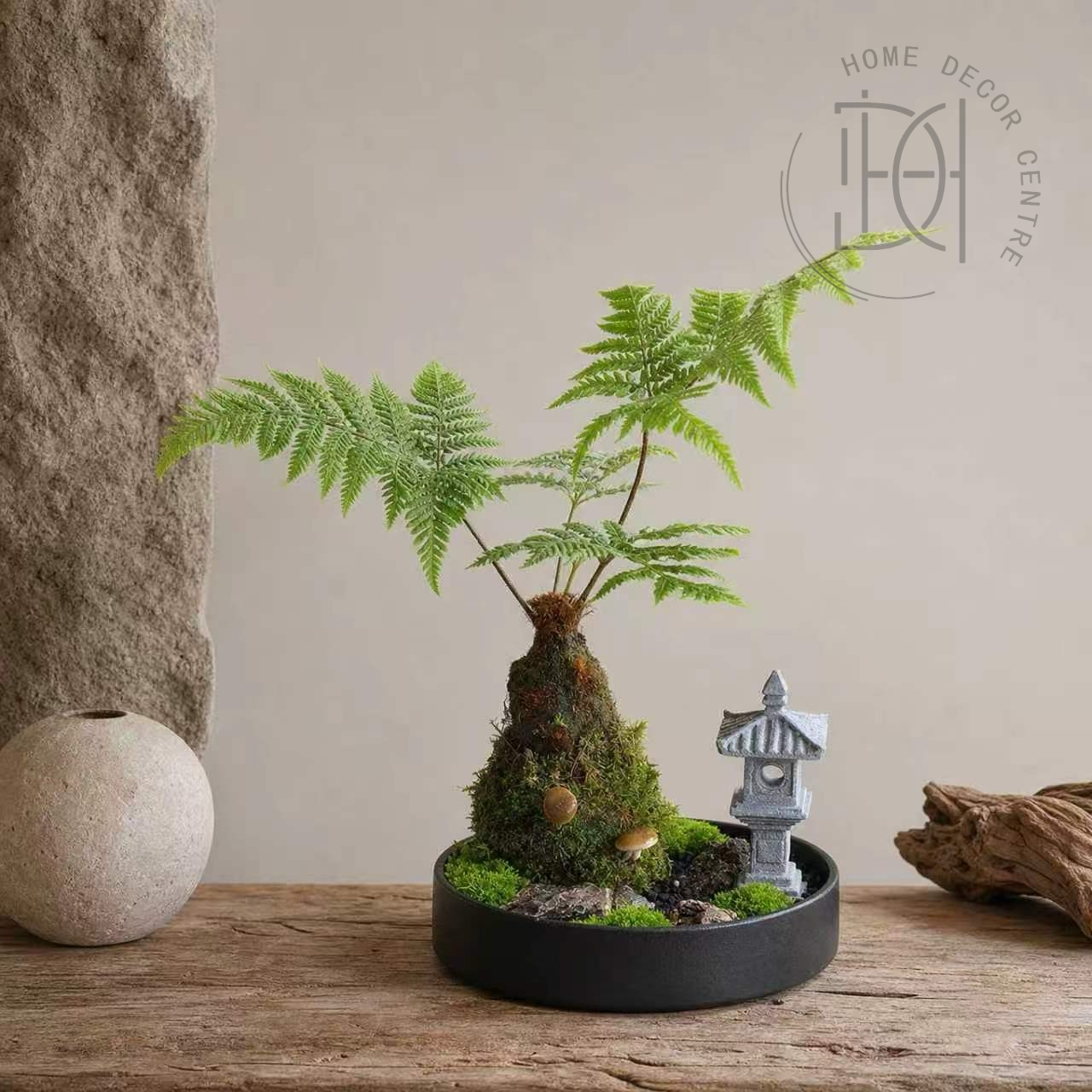 紅靈蕨-苔色食光