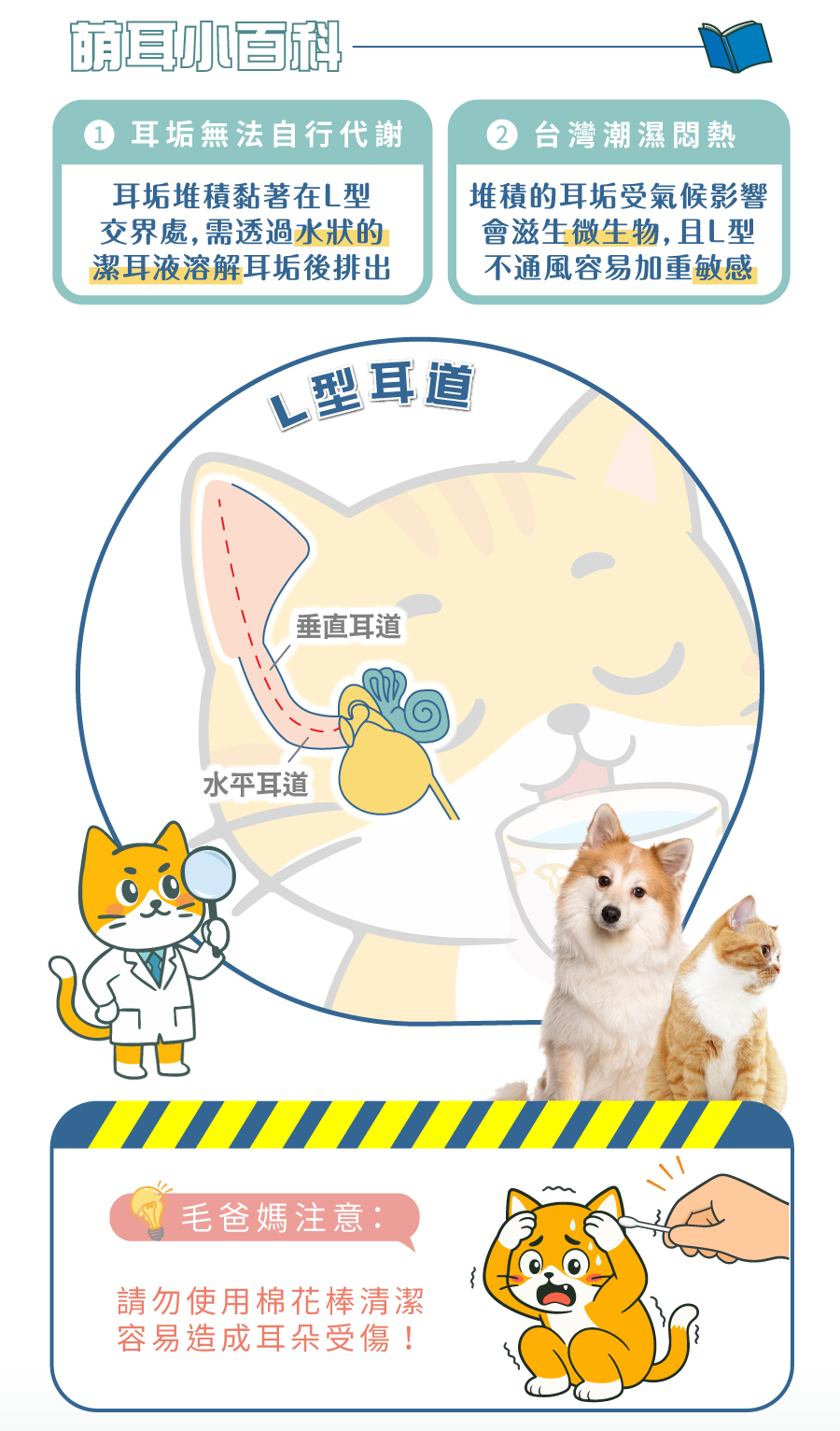 貓狗耳垢易堆積在耳道L型交界處，受氣候影響易孳生微生物造成敏感，可透過水狀潔耳液溶解排出，切勿使用棉花棒清潔。