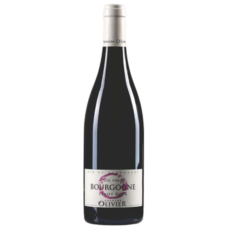 Domaine Antoine Olivier Bourgogne Rouge 2020