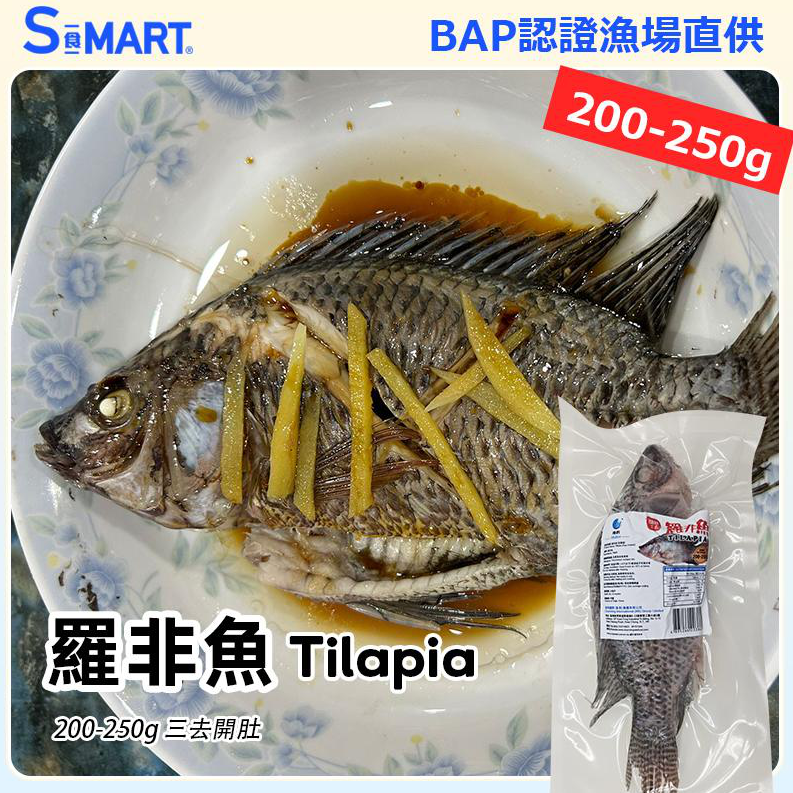 UT20 羅非魚 (三去)  200-250克/條