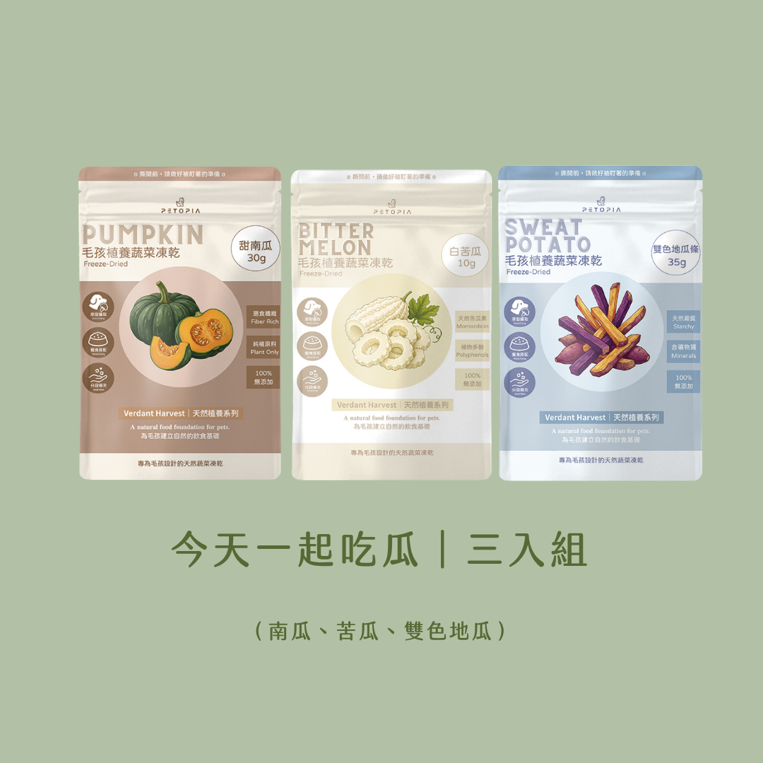 『待補貨』🍈吃瓜組合三入組．今天一起吃瓜｜雙色地瓜．甜南瓜．白苦瓜