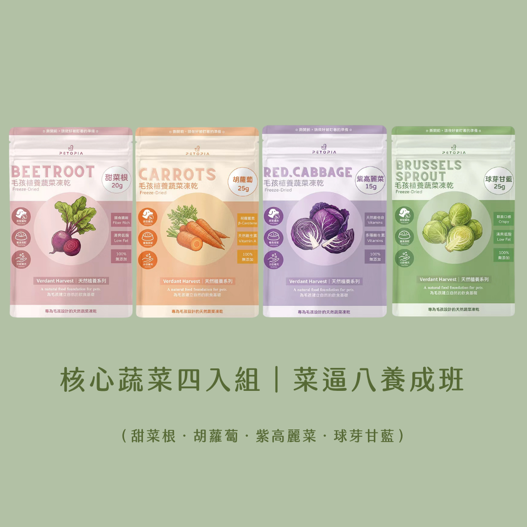 『待補貨』🥦 核心蔬菜四入組．菜逼八養成班｜甜菜根．胡蘿蔔．紫高麗菜．球芽甘藍