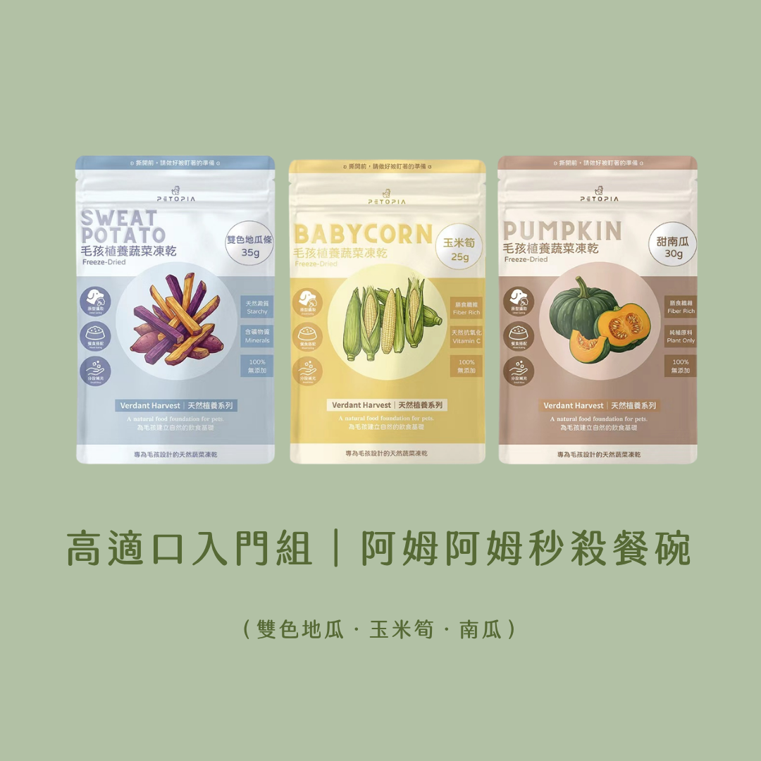『待補貨』🥣 高適口入門三入組．阿姆阿姆秒殺款｜雙色地瓜．甜南瓜．玉米筍