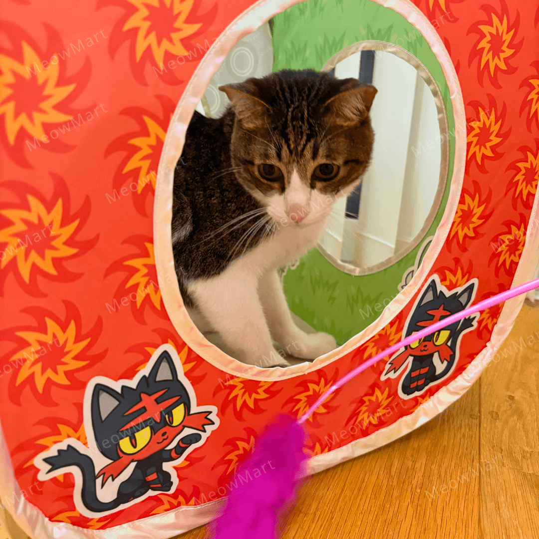 【日本Pokémon x 猫壱】限量版魔術方塊 (日本直送)