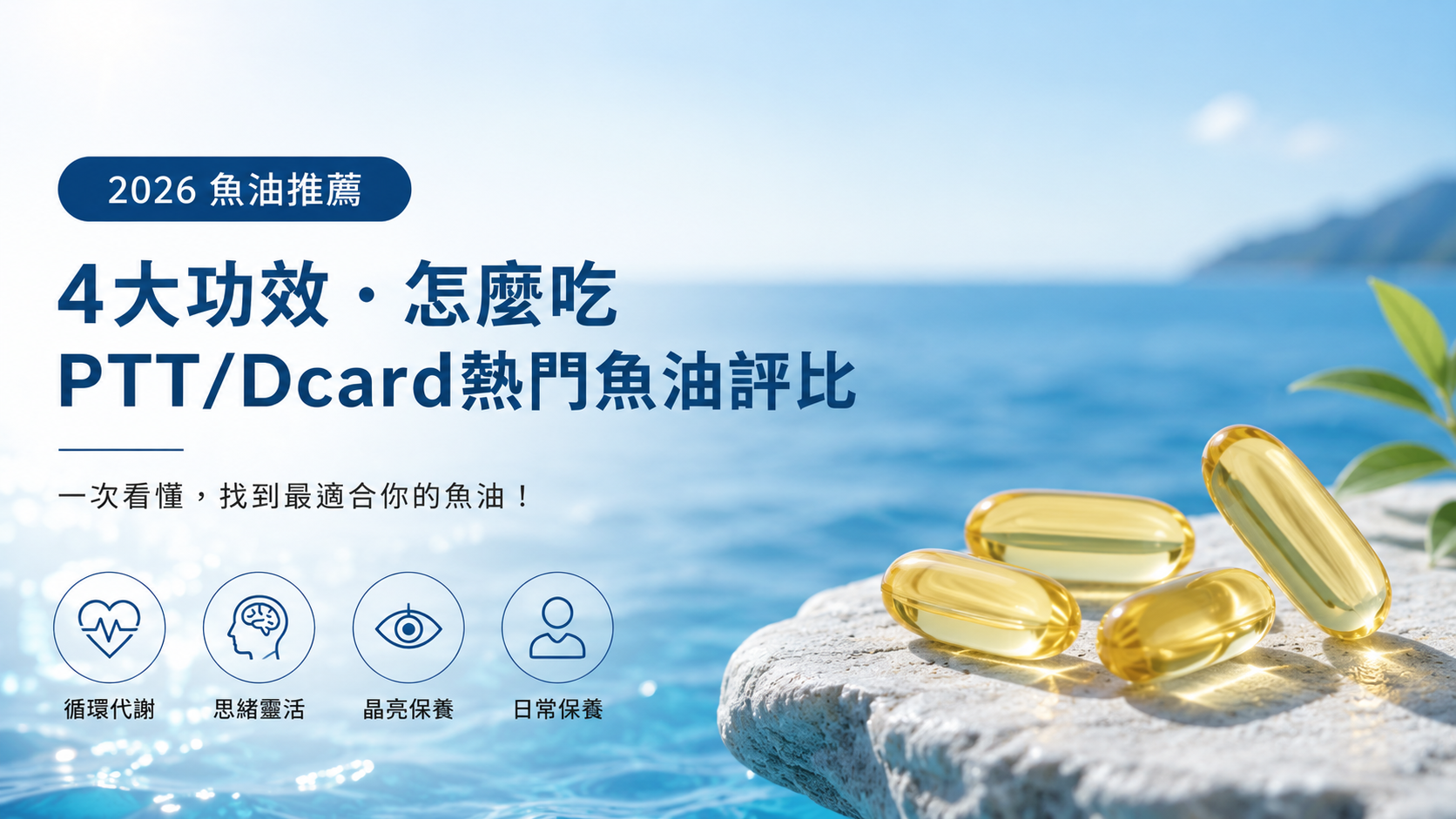 2026魚油推薦 rTG高濃度魚油評比
