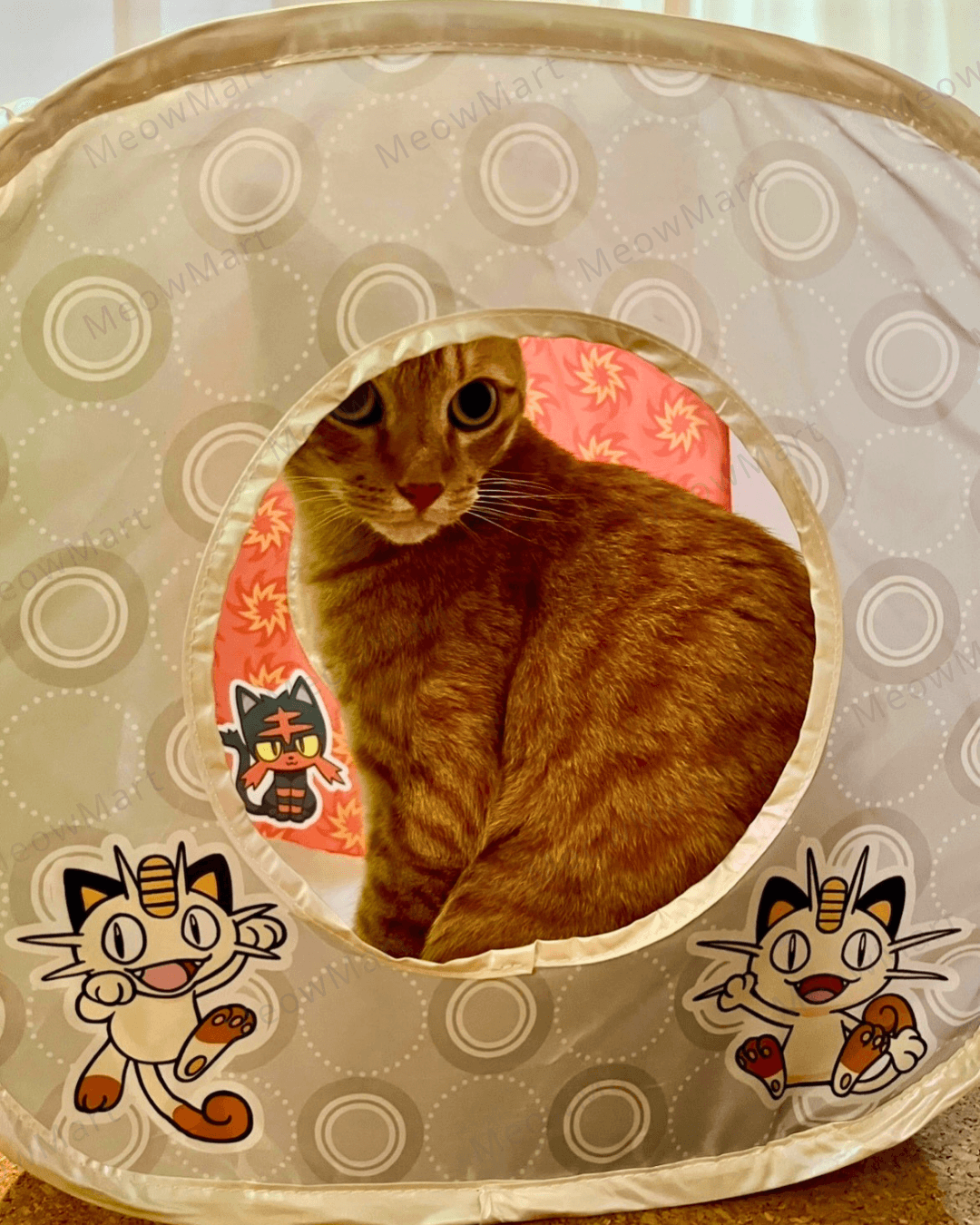 【日本Pokémon x 猫壱】限量版魔術方塊 (日本直送)
