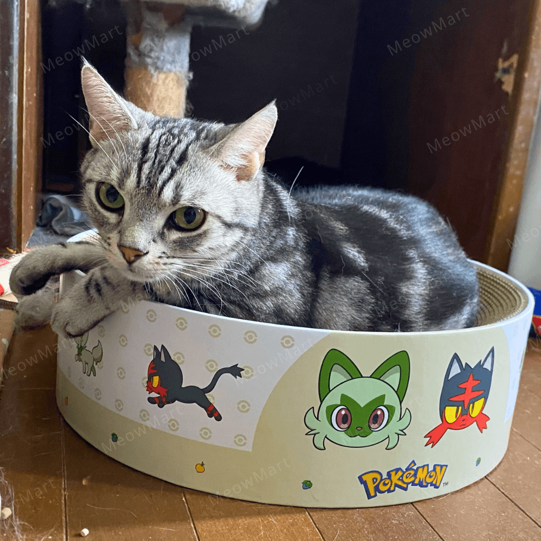 【日本Pokémon x 猫壱】限量版貓抓窩