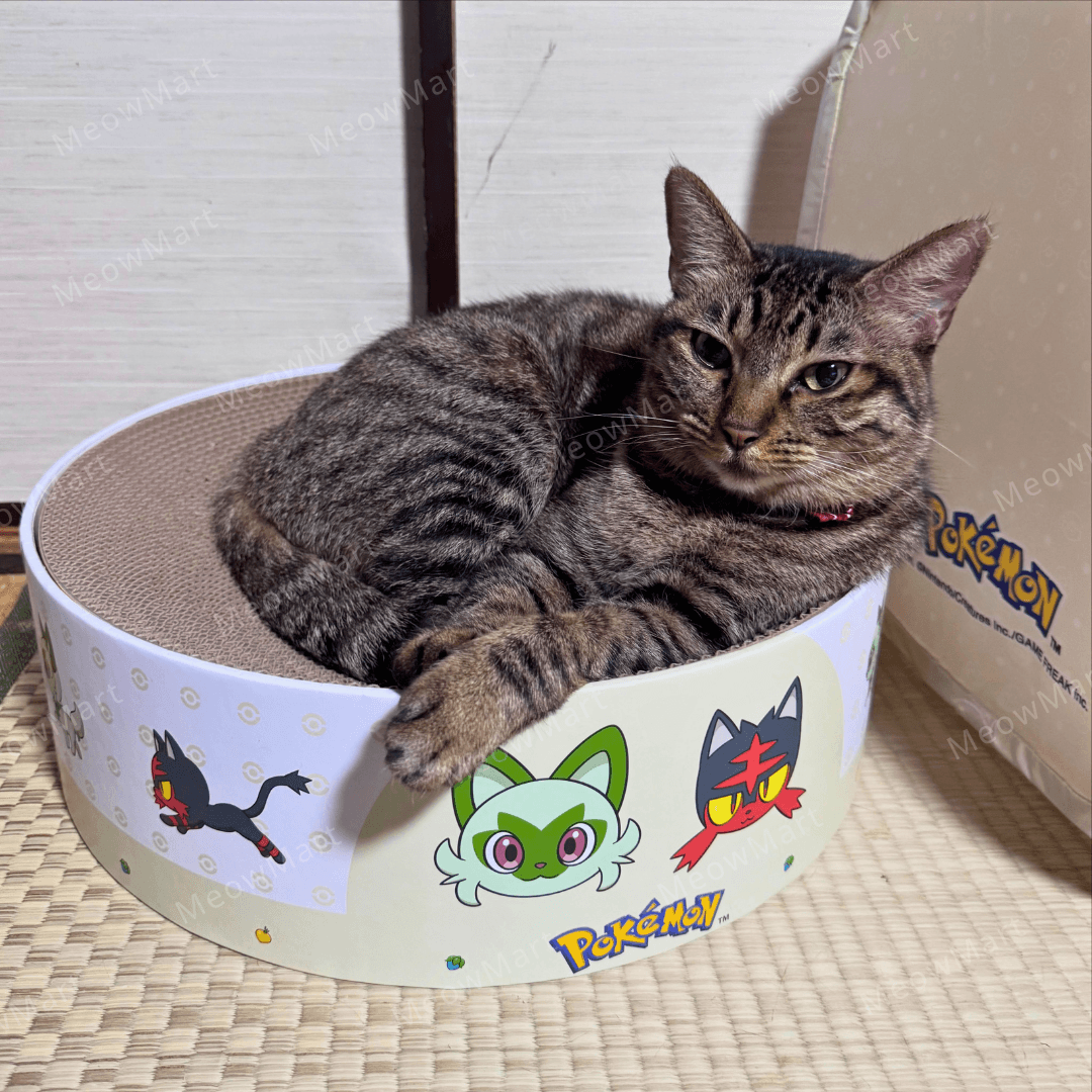 【日本Pokémon x 猫壱】限量版貓抓窩