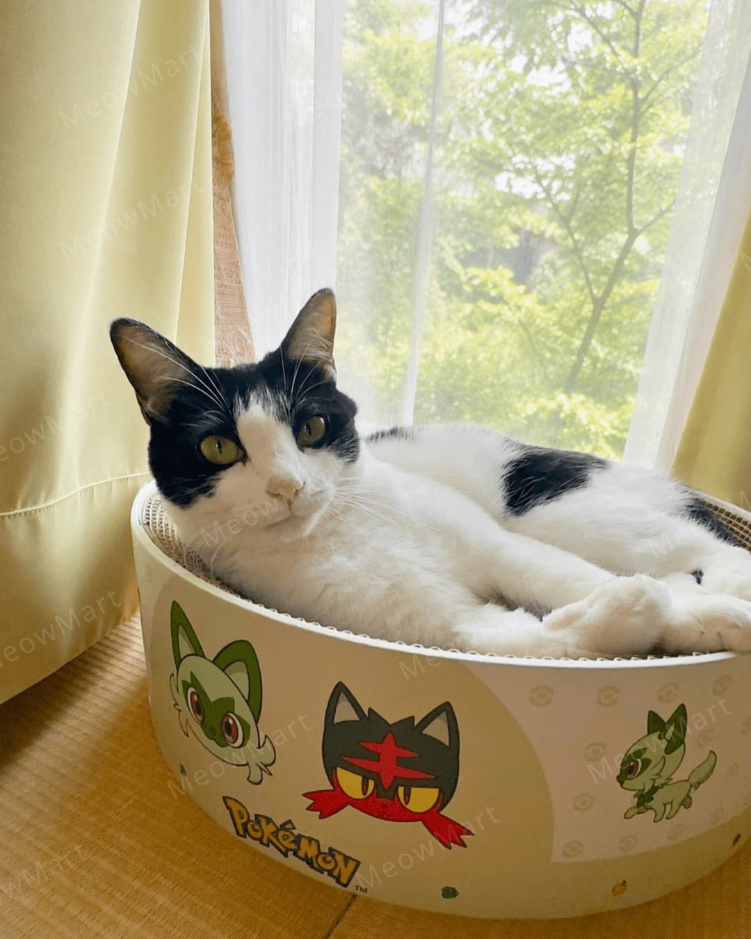 【日本Pokémon x 猫壱】限量版貓抓窩