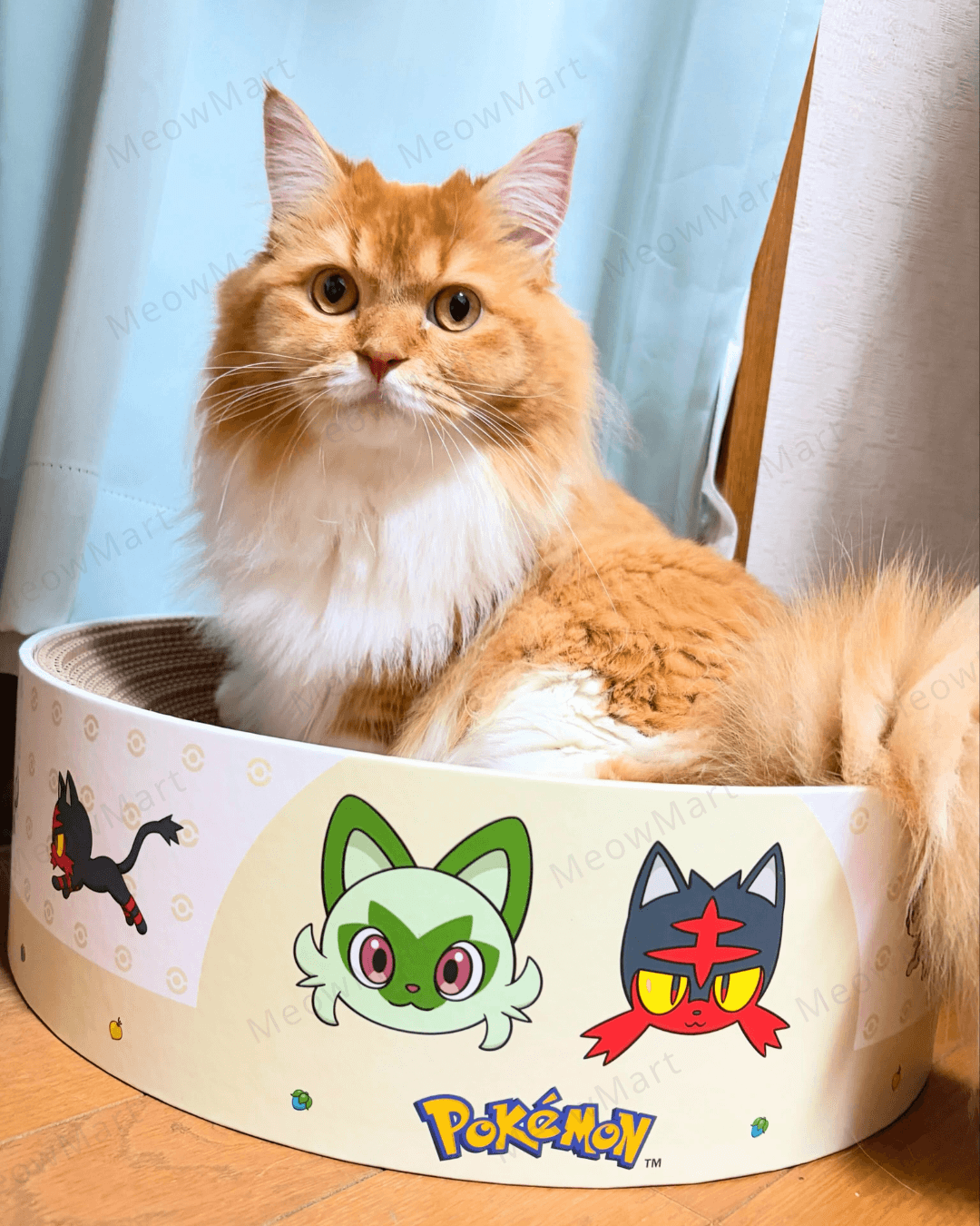 【日本Pokémon x 猫壱】限量版貓抓窩