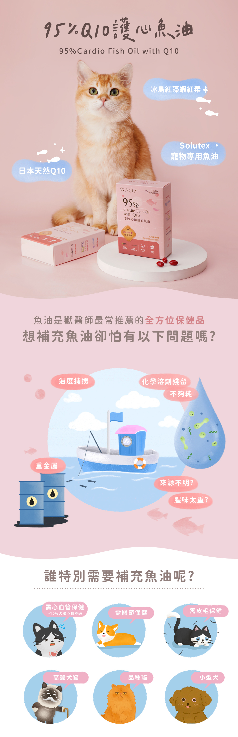 貪貪95%10護心魚油全方位保護