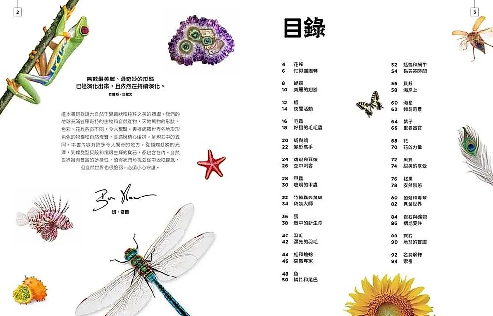 小小觀察家的自然博物館：收藏自然界繽紛的形態與色彩，看見地球萬物的奧妙