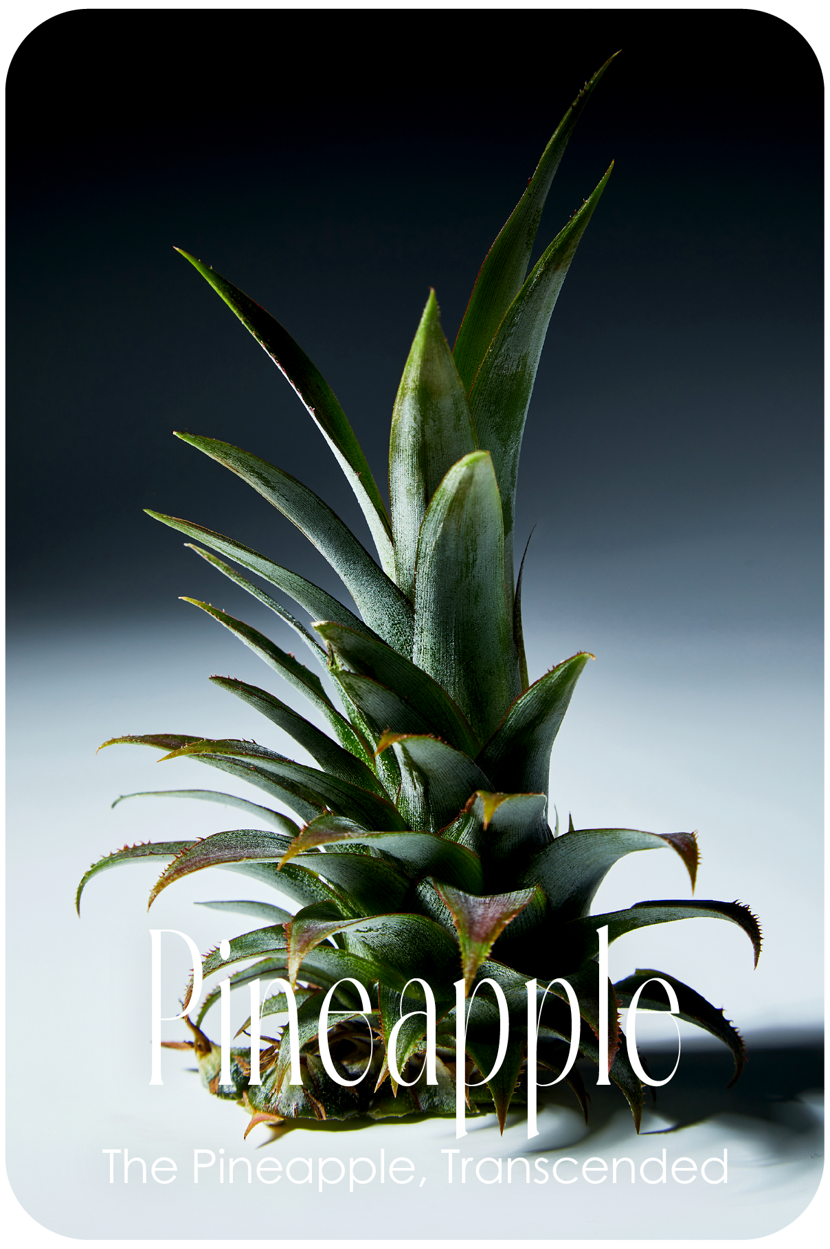 Pineapple 8