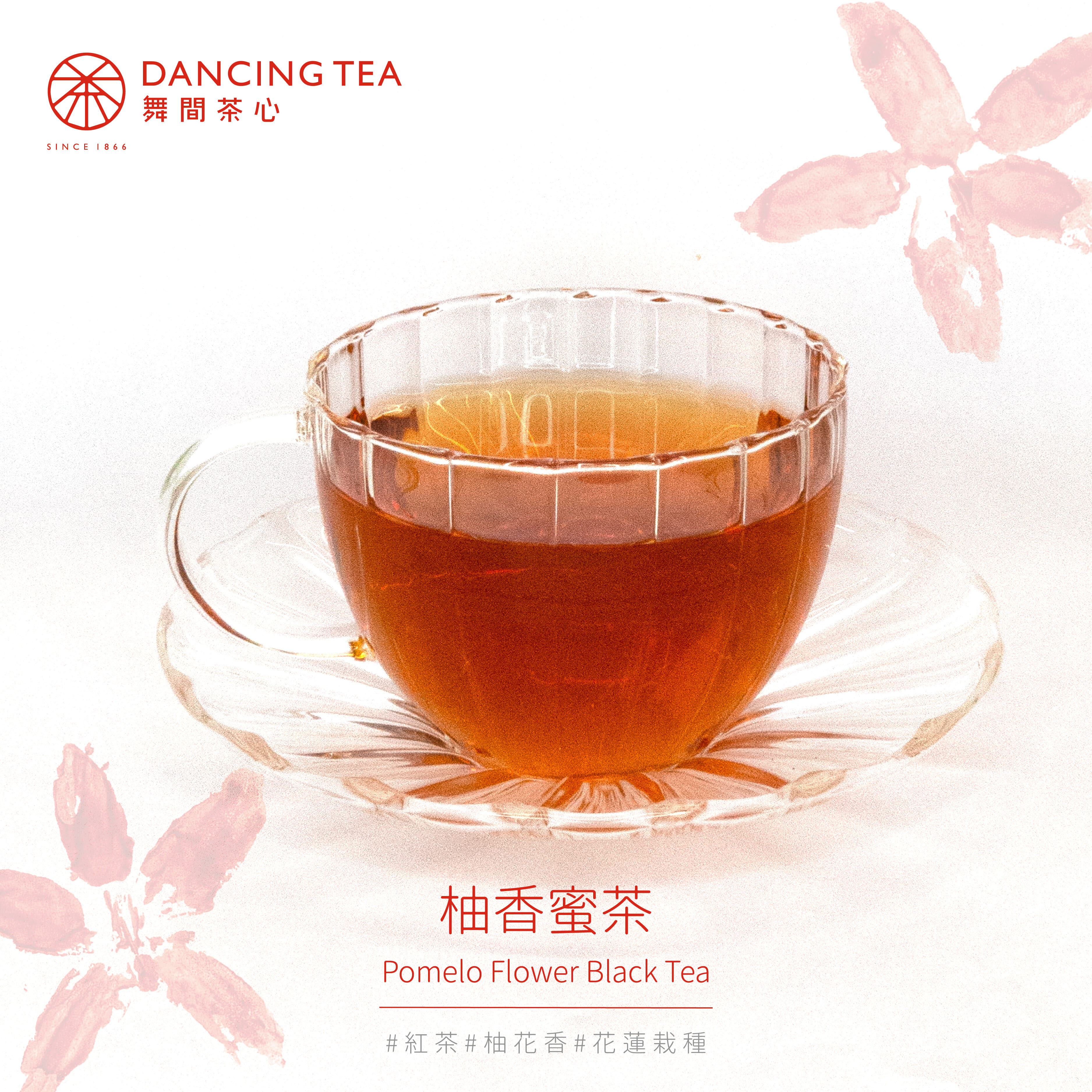 柚香蜜茶-原片立體茶包50入（經濟包）