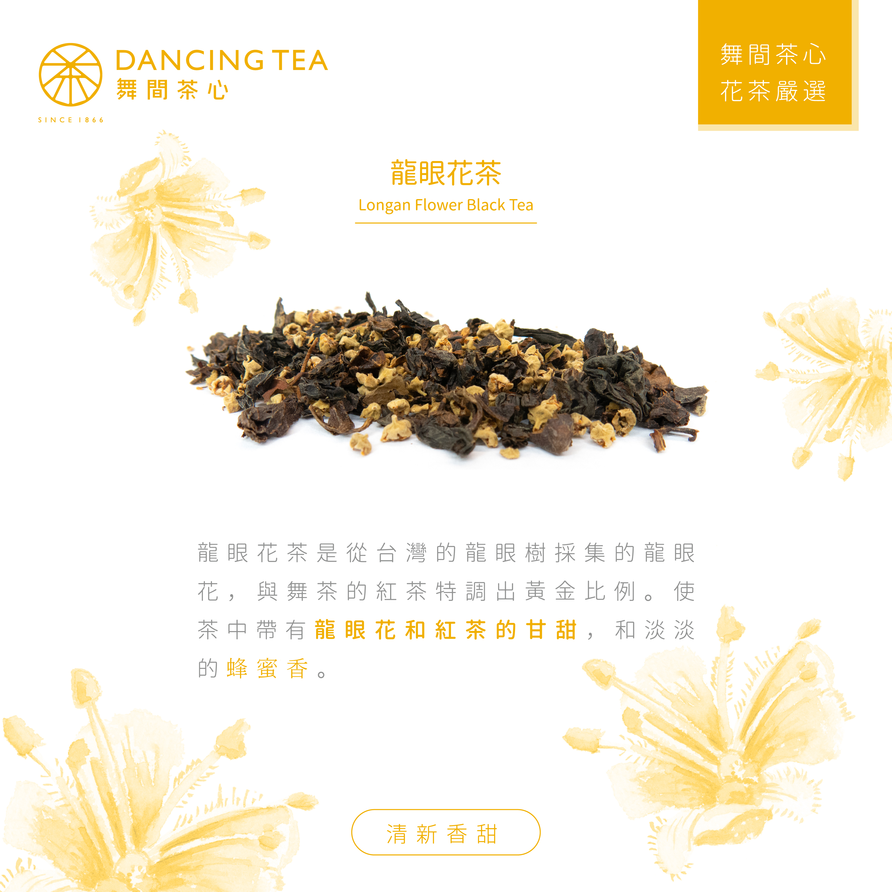 龍眼花茶-原片立體茶包50入（經濟包）