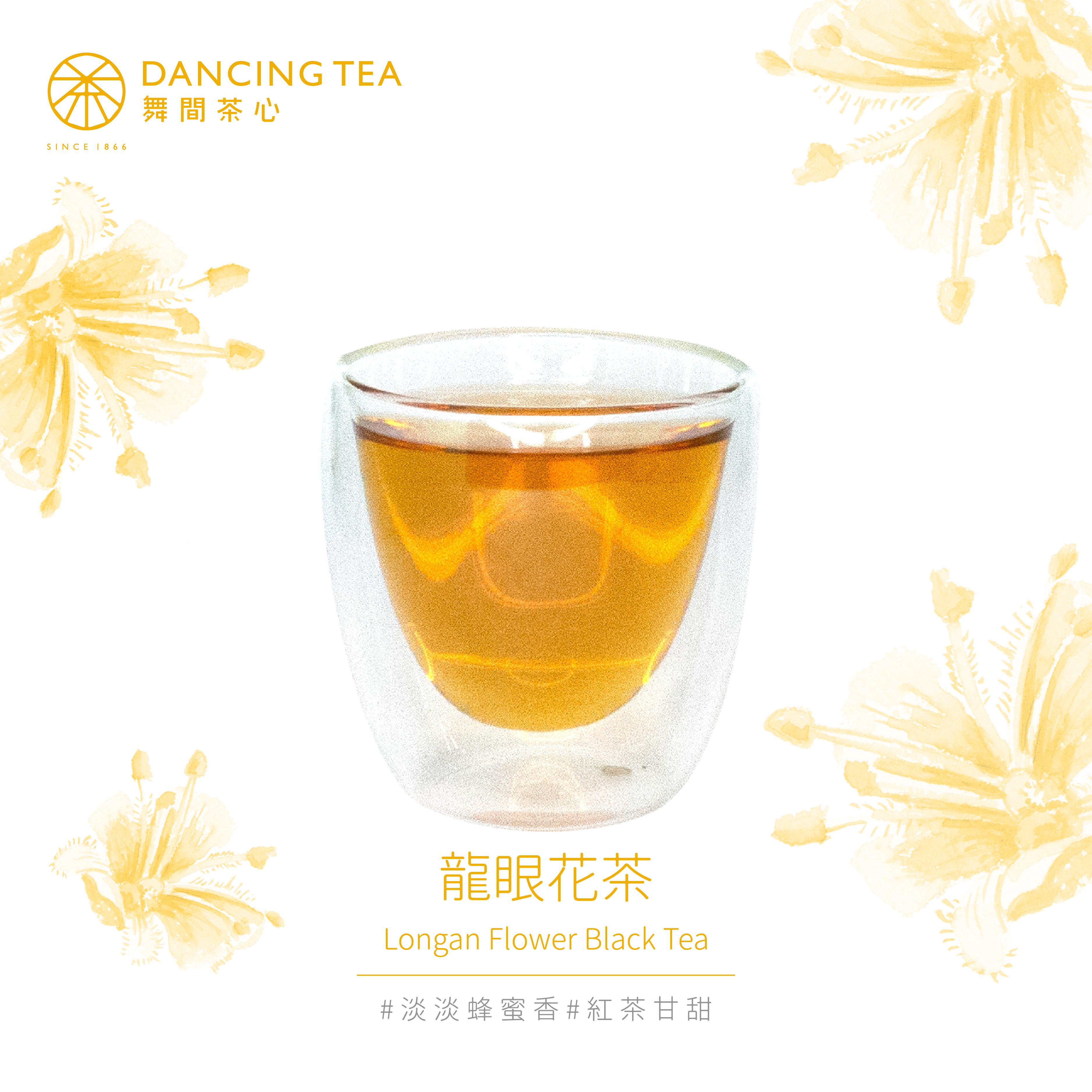 龍眼花茶-原片立體茶包50入（經濟包）