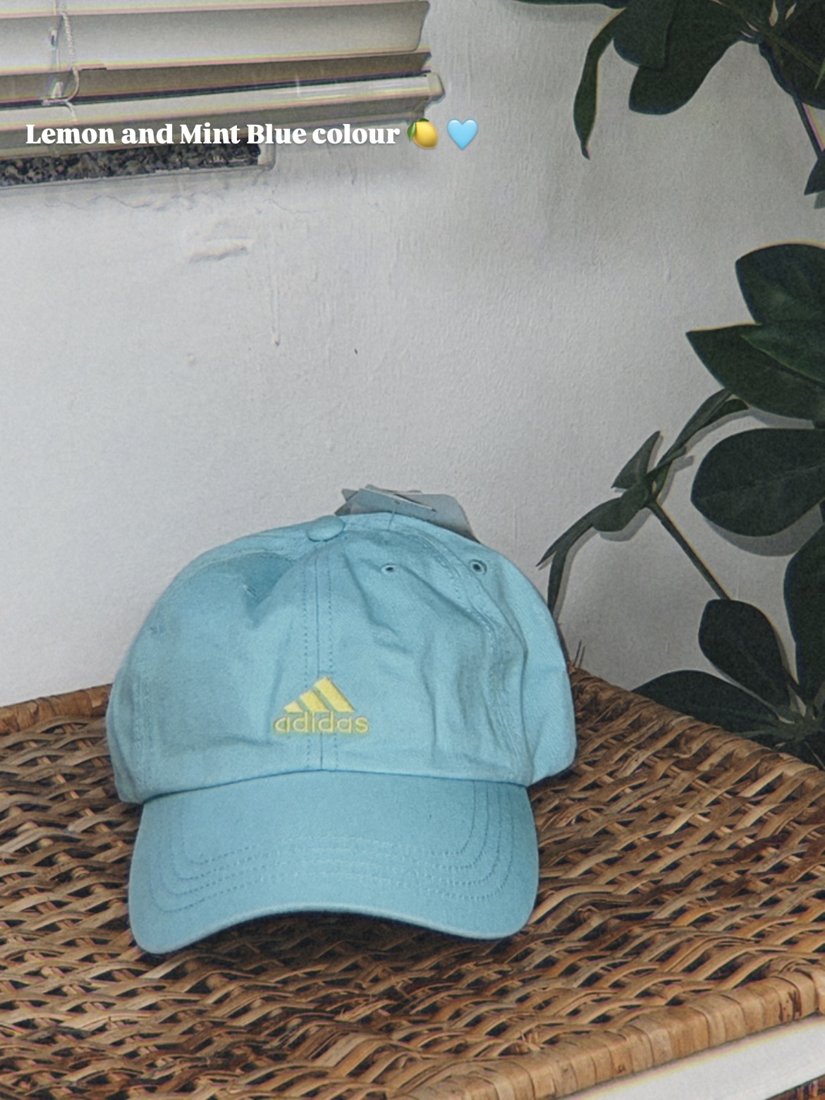 日版Adidas Cap