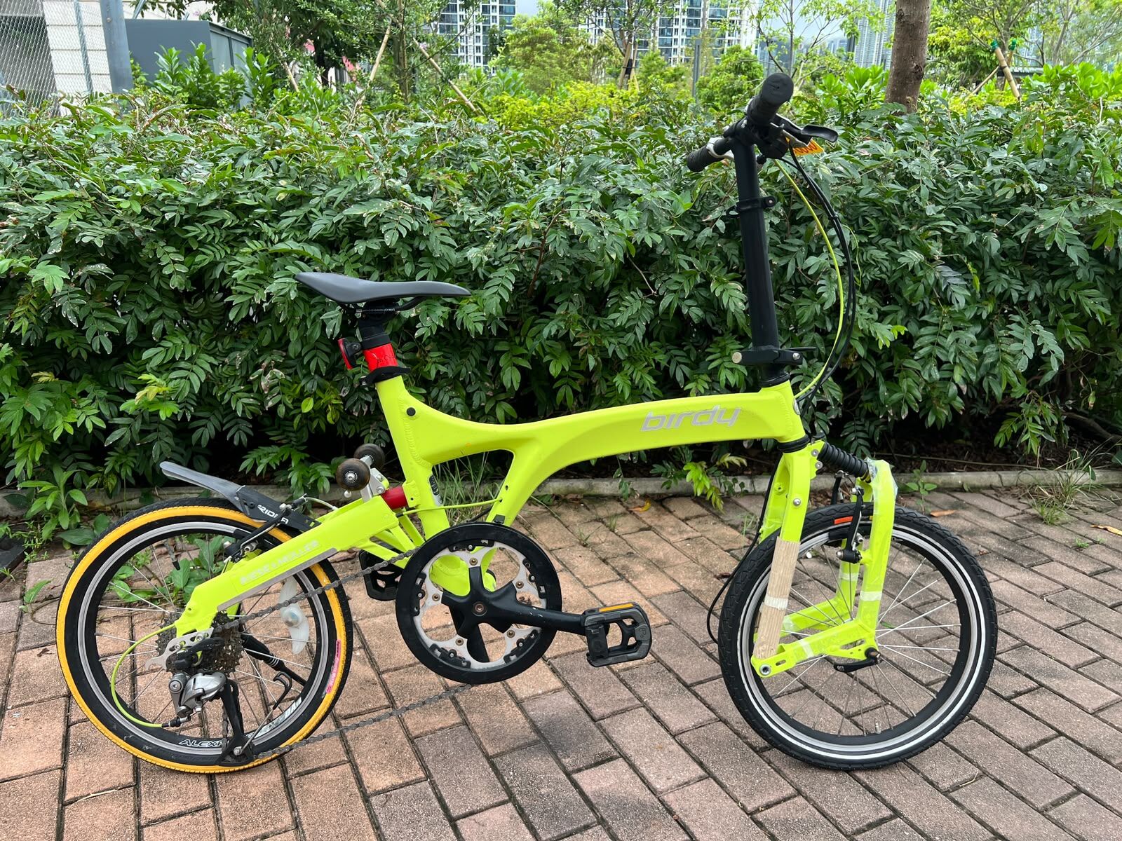 RENTAL BIRDY BIKE