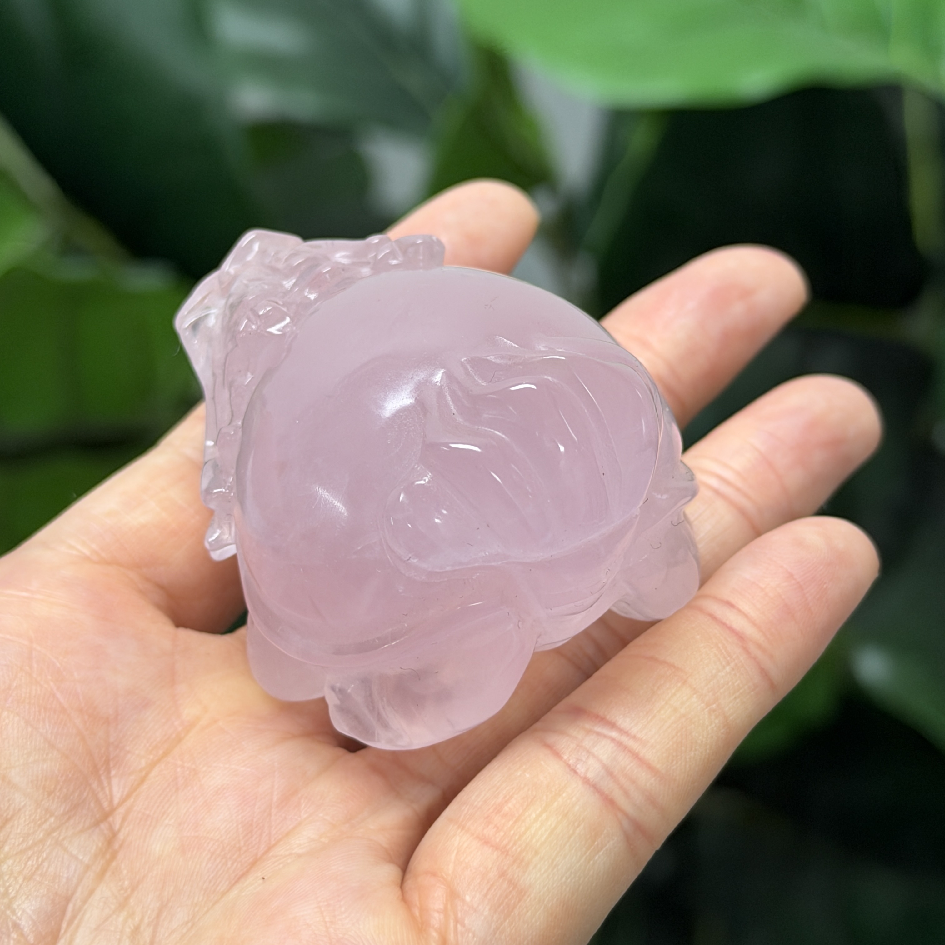 高級數粉晶龍龜  MP1749