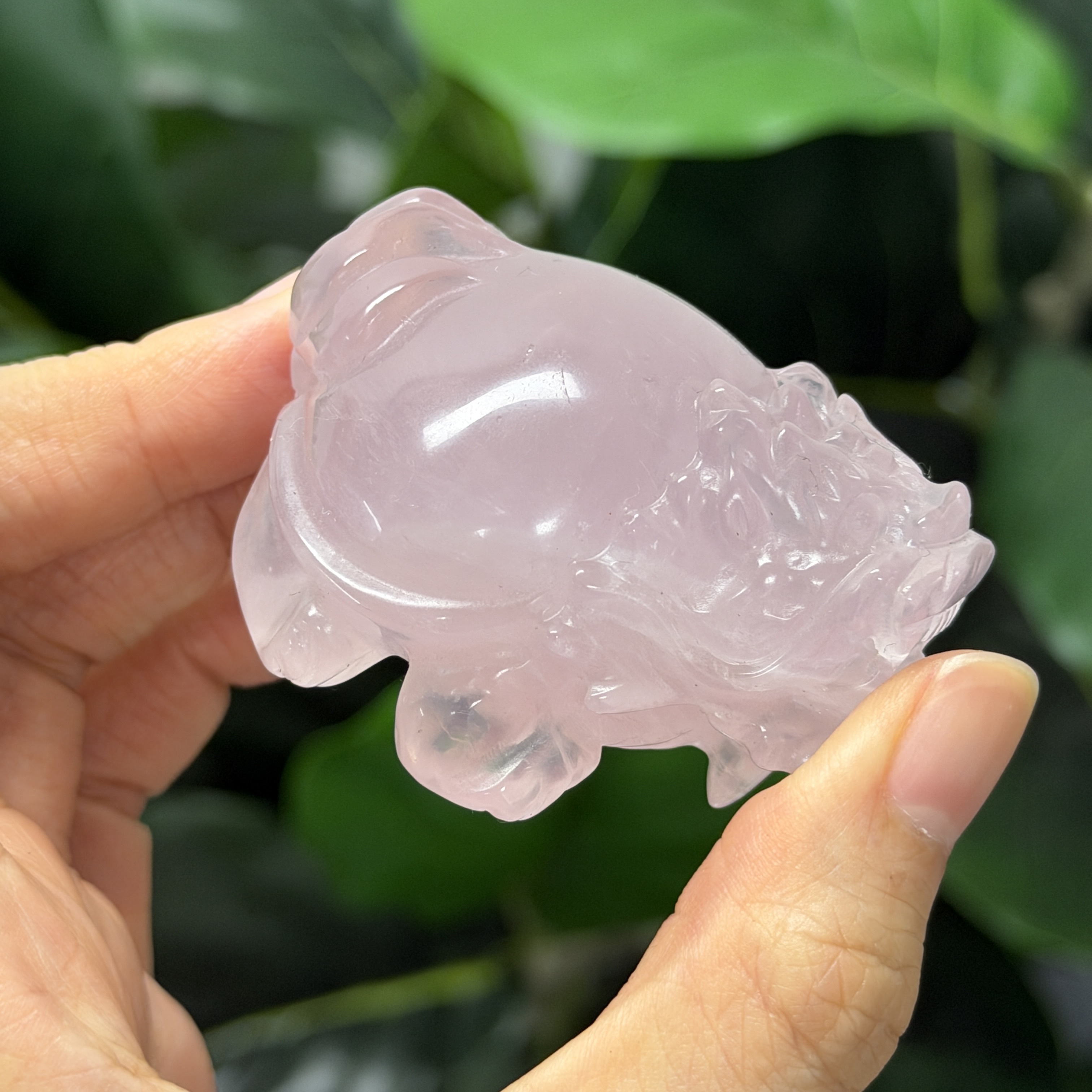 高級數粉晶龍龜  MP1749