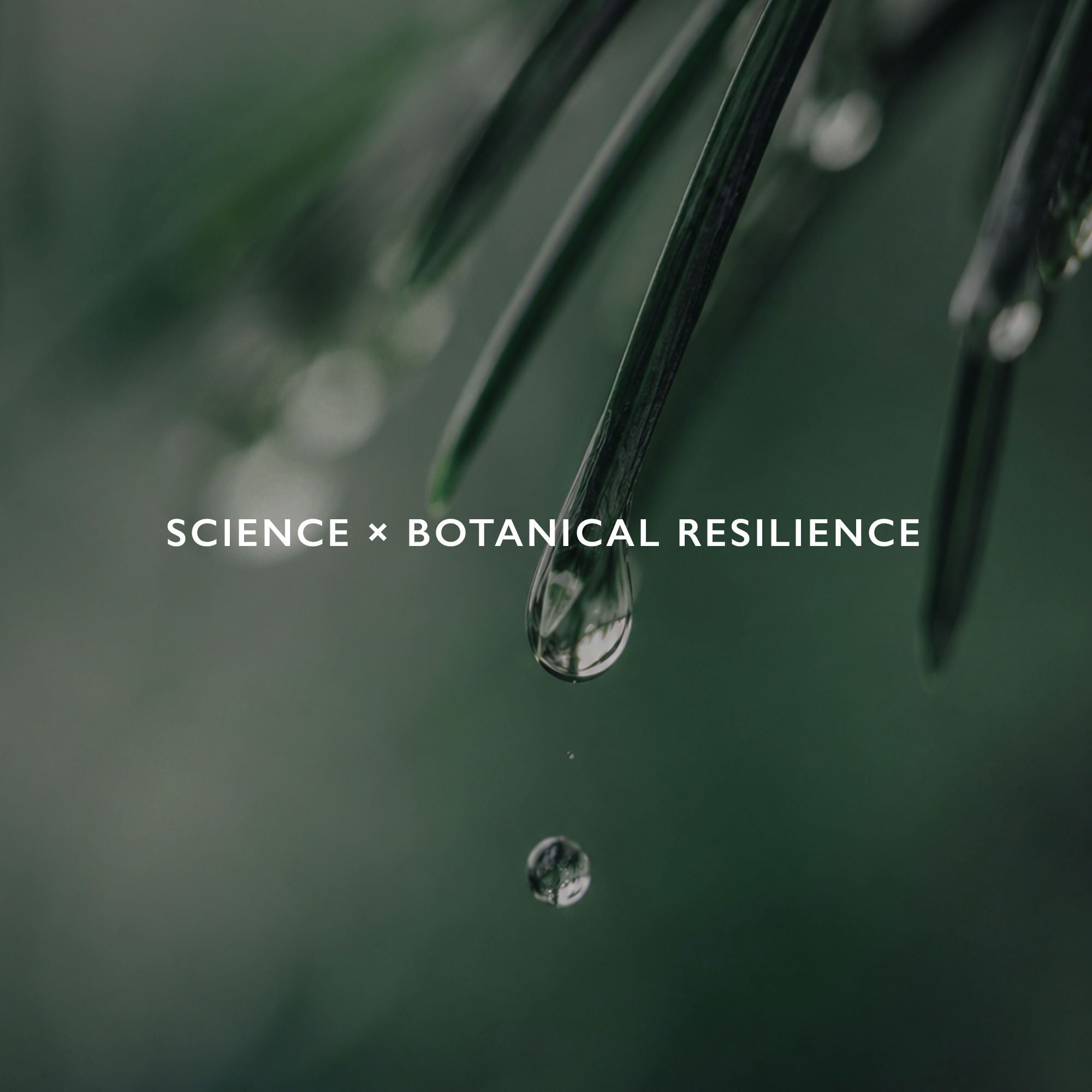 植物葉片凝結水滴,傳達 ELEVITA 科學結合植物韌性的保養理念