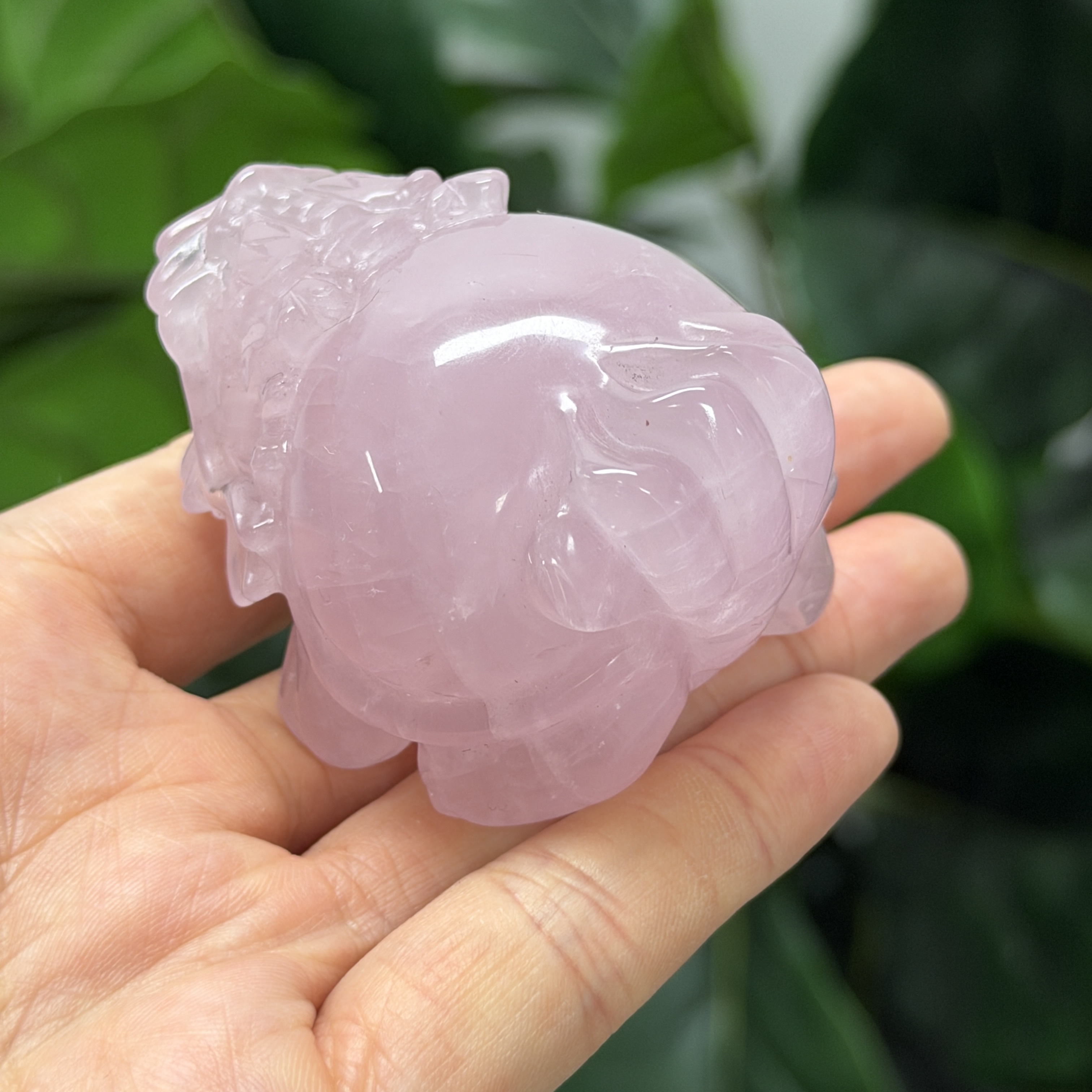 高級數粉晶龍龜  MP1752
