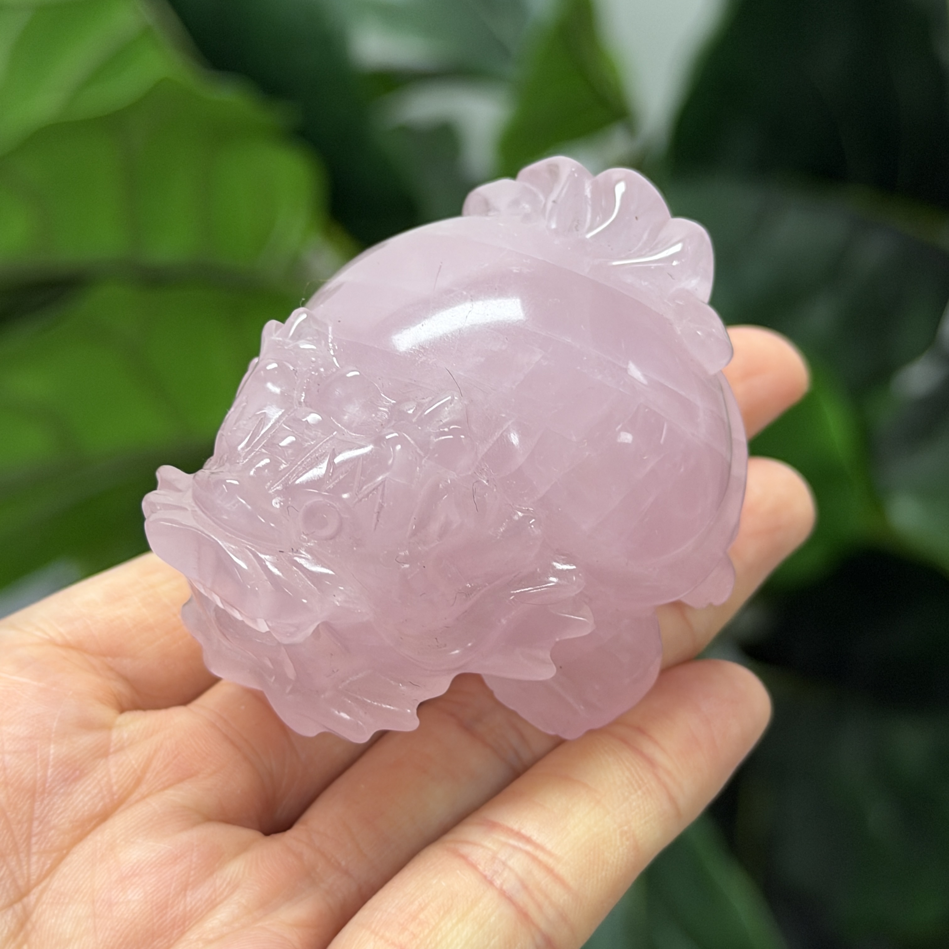 高級數粉晶龍龜  MP1752