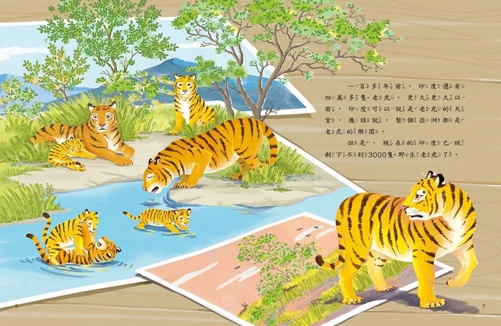 愛的故事‧知識繪本15：老虎的守護者