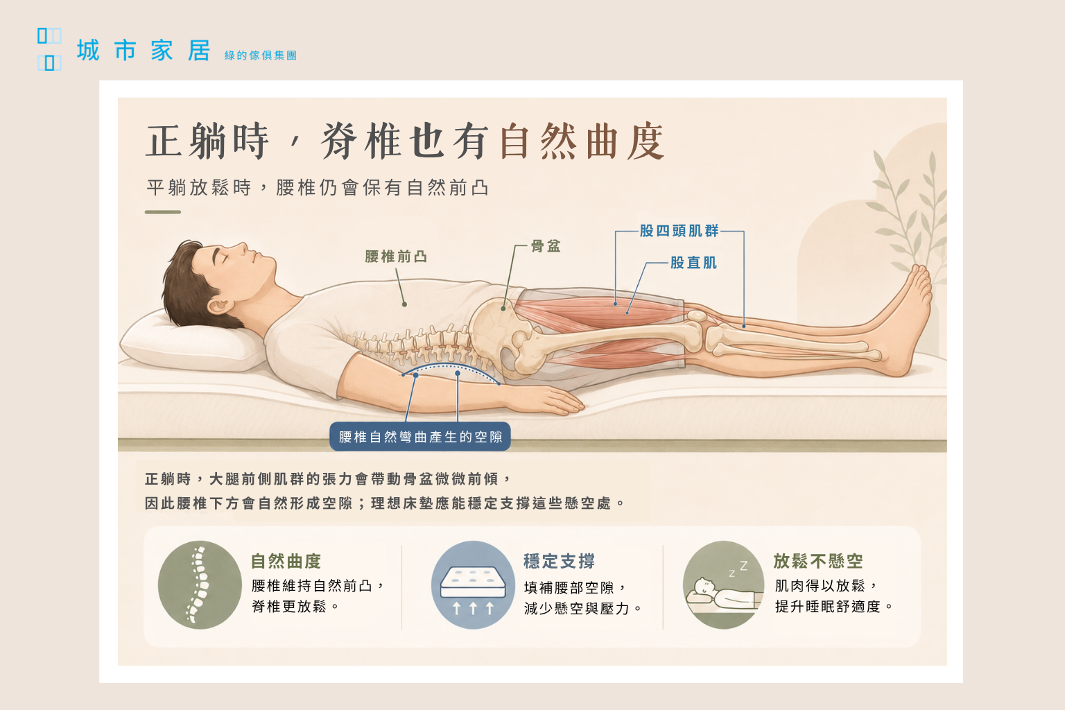 平躺時，腰椎並非完全貼平。 腰部保有自然前凸是正常生理曲線，能提供適當支撐的床墊，才能減少腰部懸空，讓肌肉真正放鬆。