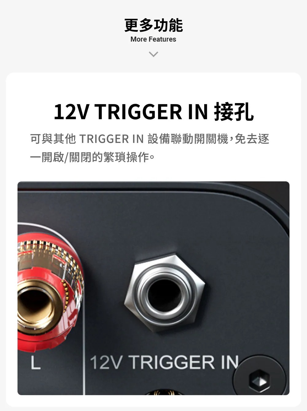 更多功能 12V TRIGGER IN接孔