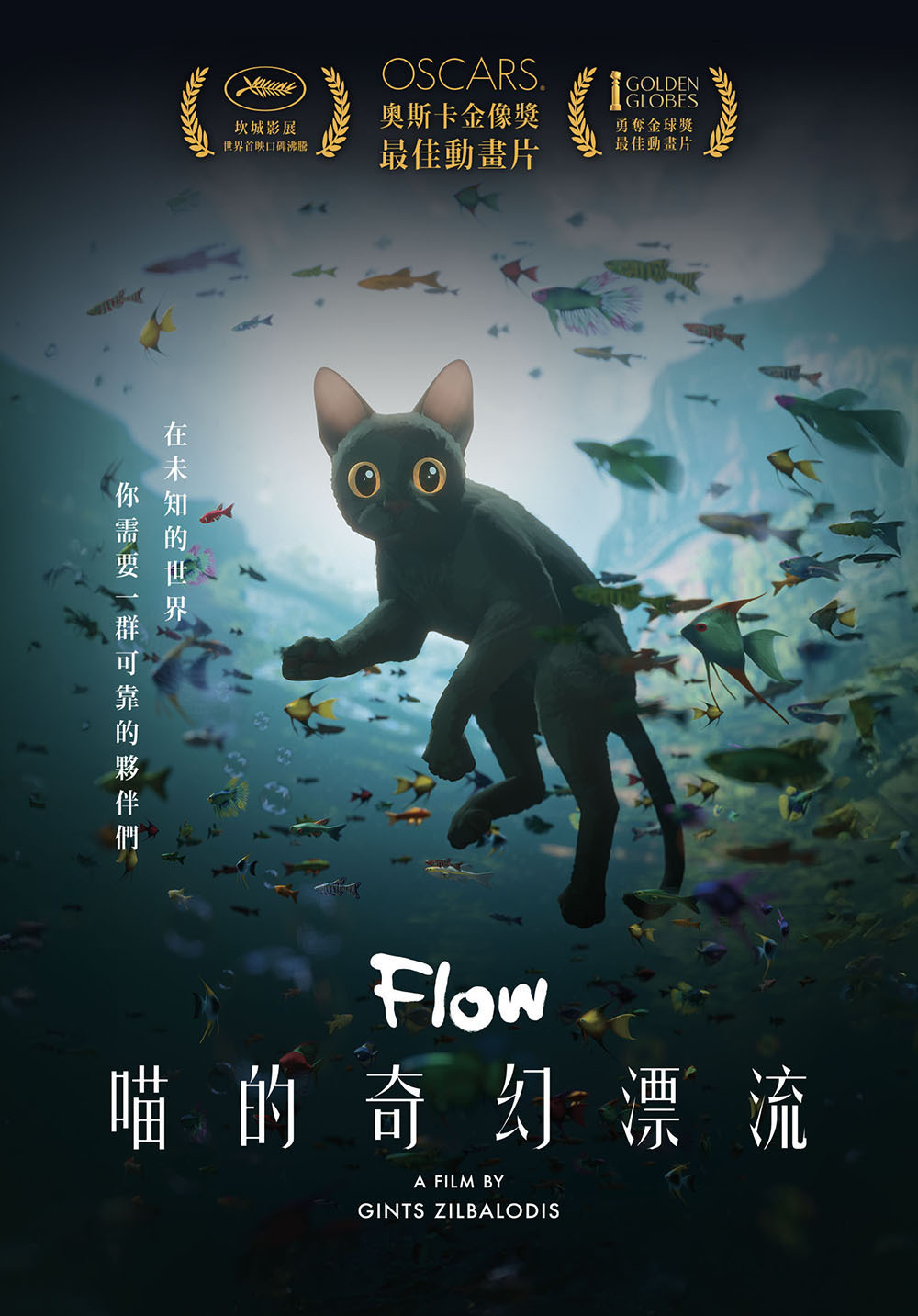 喵的奇幻漂流