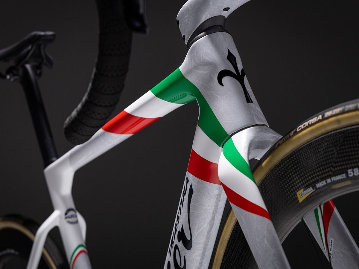 Wilier Triestina FILANTE SLR 義大利國家隊冠軍特仕版 車架組