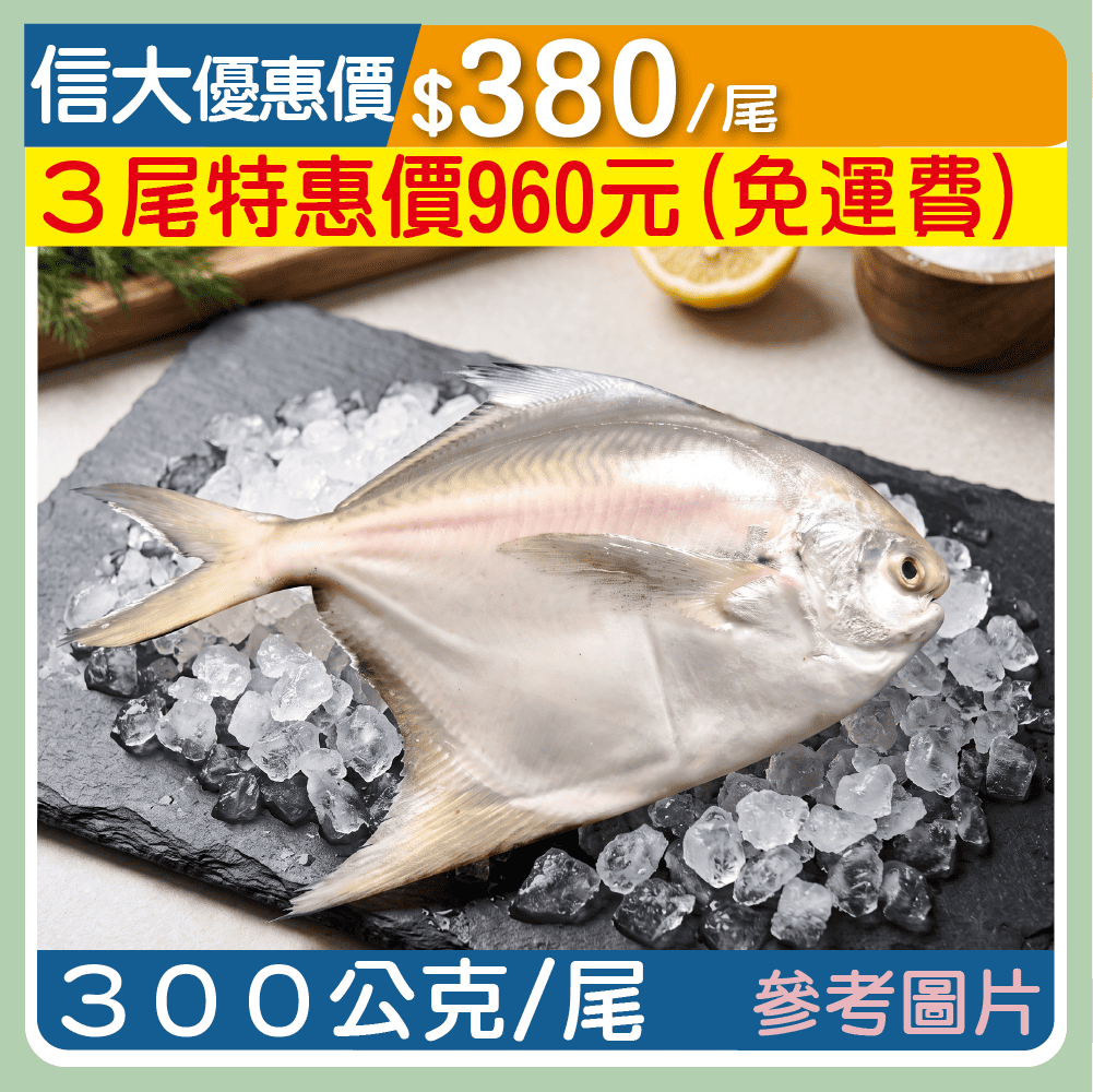 【上億嚴選】特級野生大白鯧300g/尾