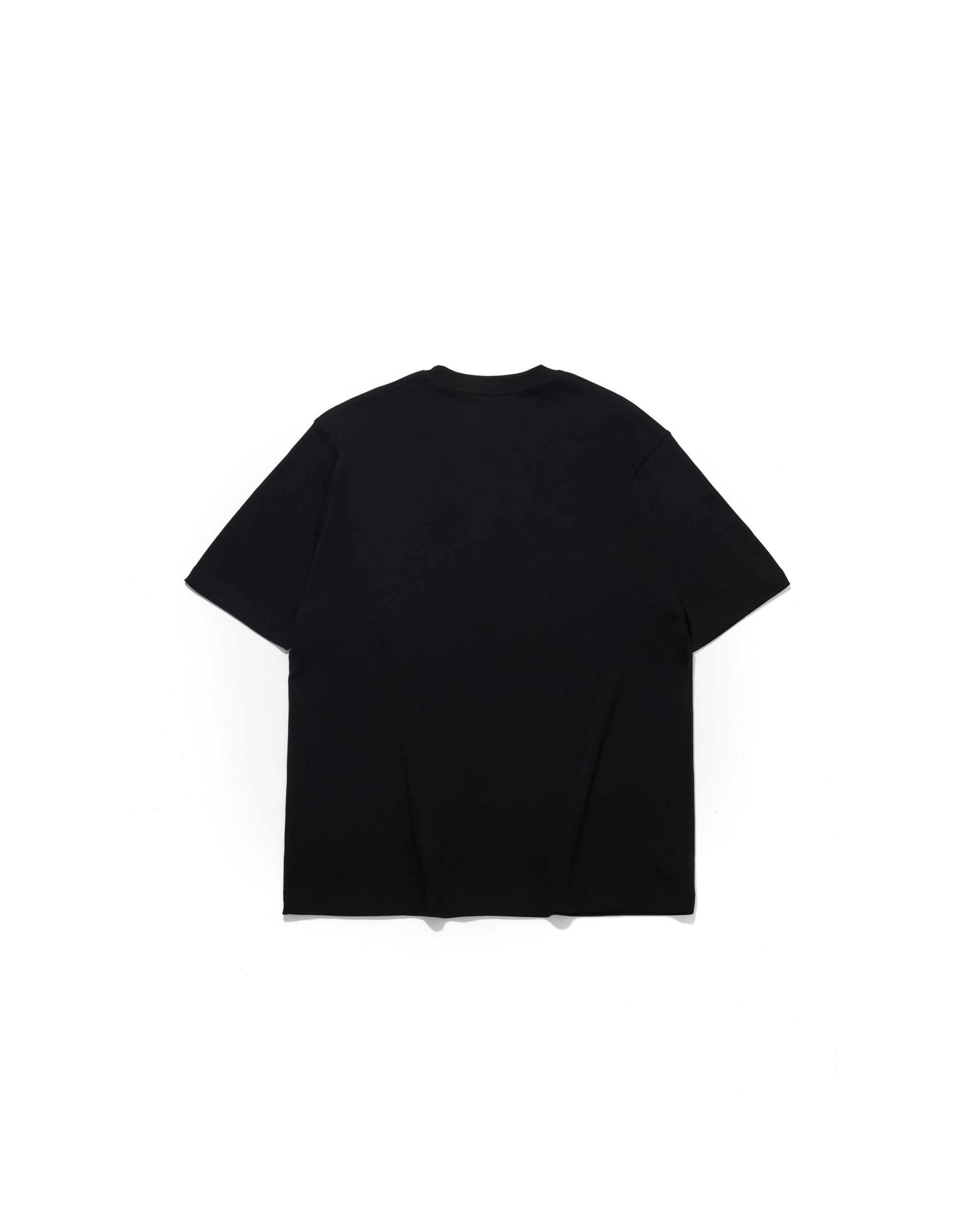 AES 3D CLASSIC LOGO TEE