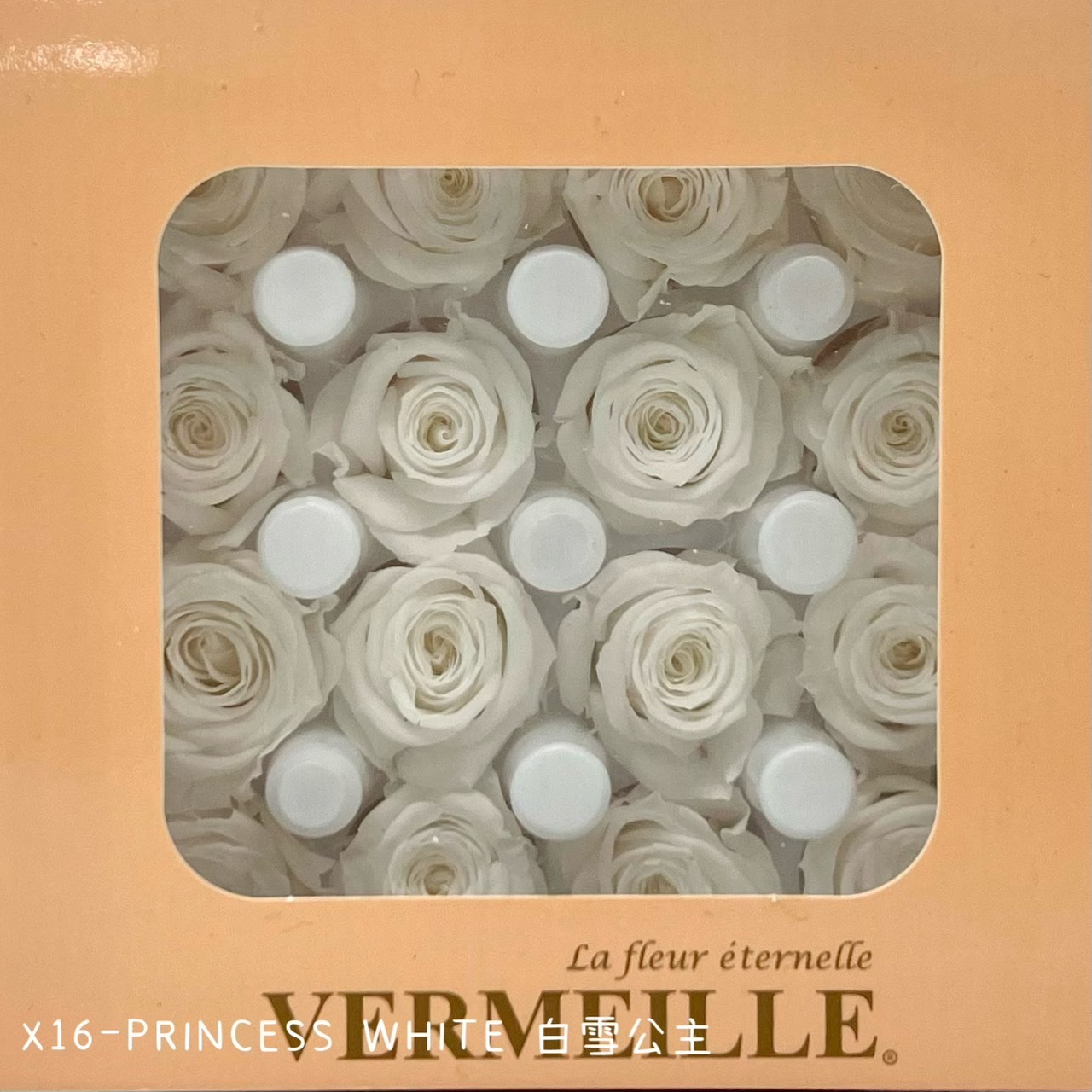 哥倫比亞 VERMEILLE-AVA(X16朵)  白雪公主