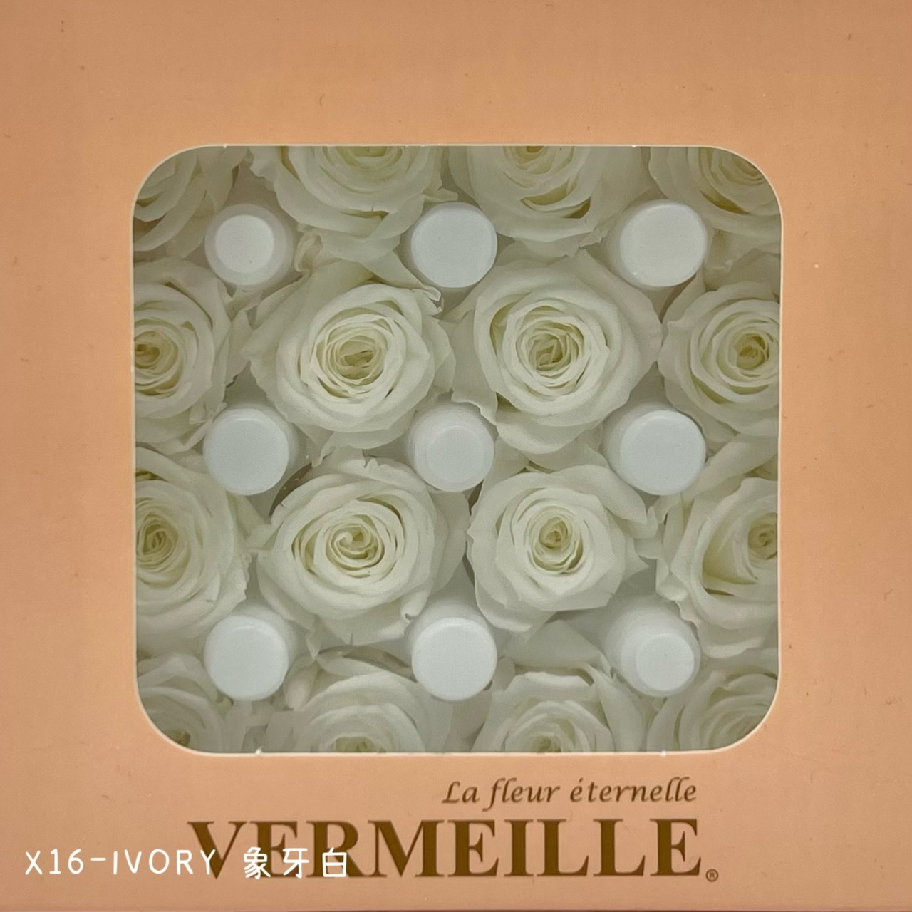 哥倫比亞 VERMEILLE-AVA(X16朵)  象牙白