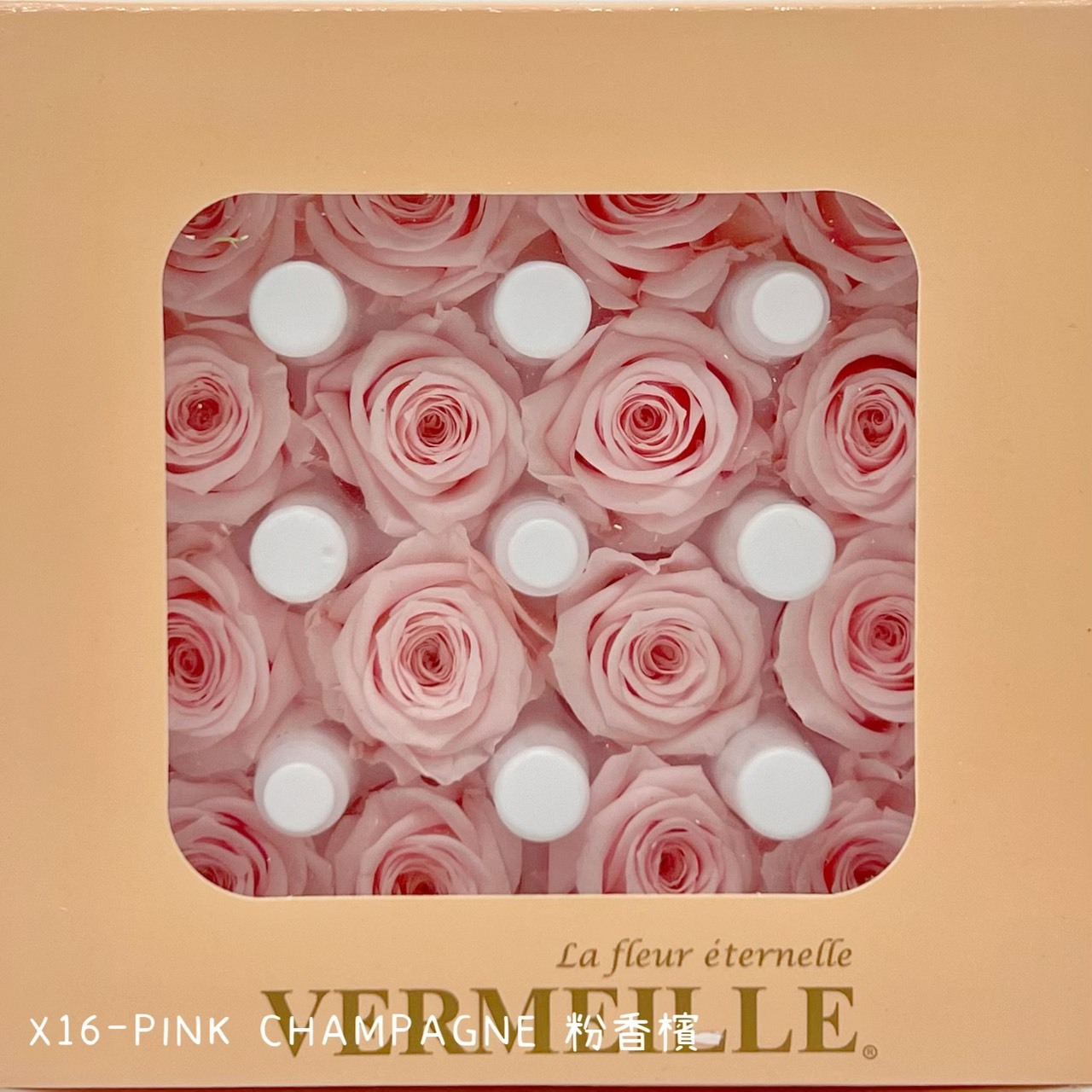 哥倫比亞 VERMEILLE-AVA(X16朵)  粉香檳