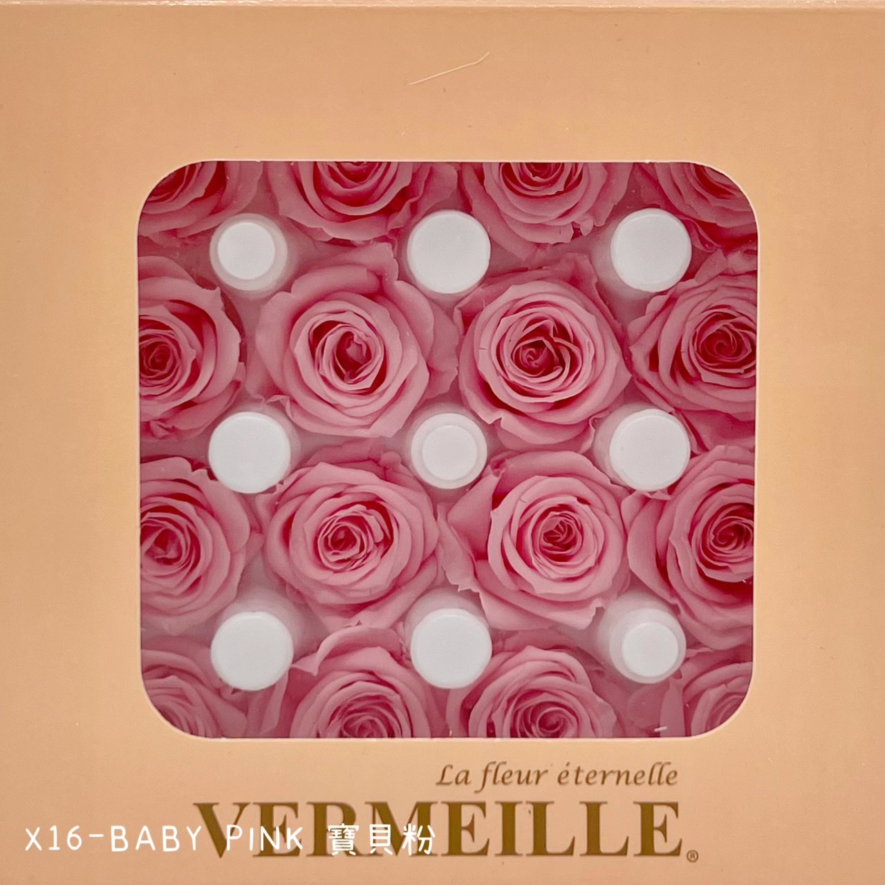 哥倫比亞 VERMEILLE-AVA(X16朵)  寶貝粉