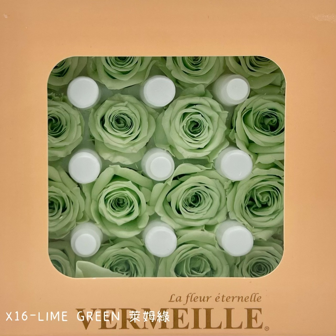 哥倫比亞 VERMEILLE-AVA(X16朵)  萊姆綠